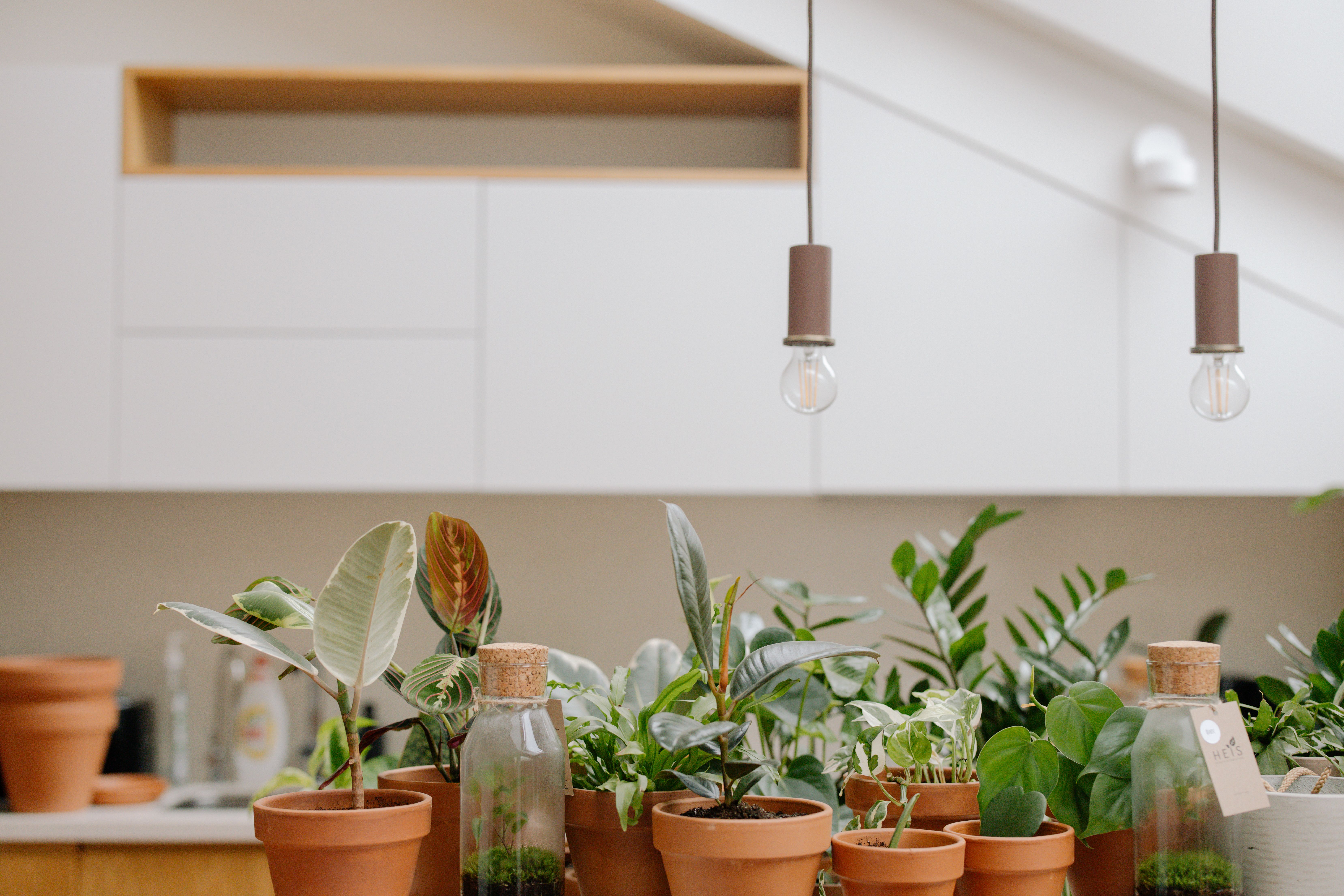 Top Summer Home Design Trends for Minnesota Homeowners header image.