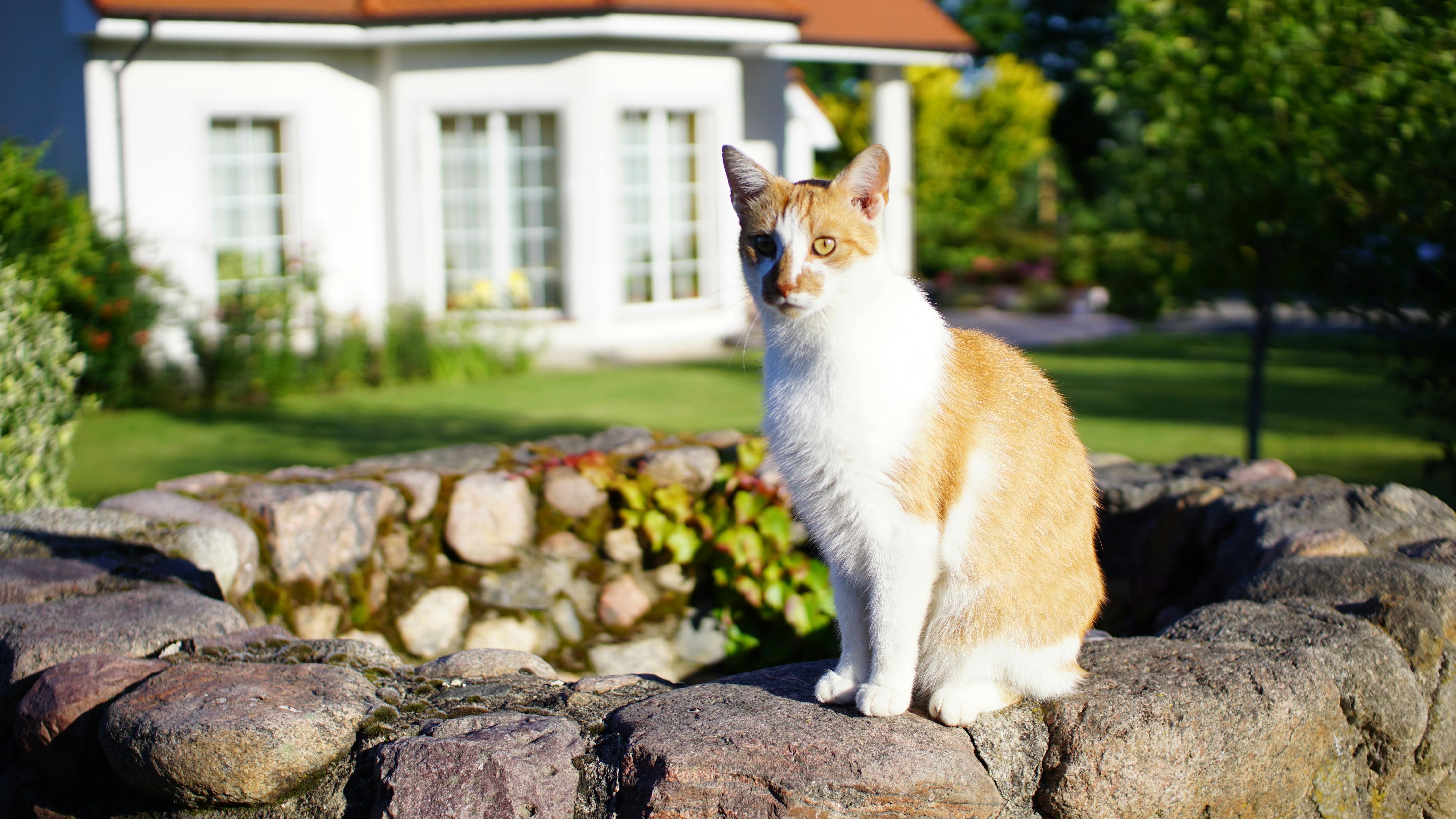 Thinking About Selling Your Home? Read This Before You Do header image.