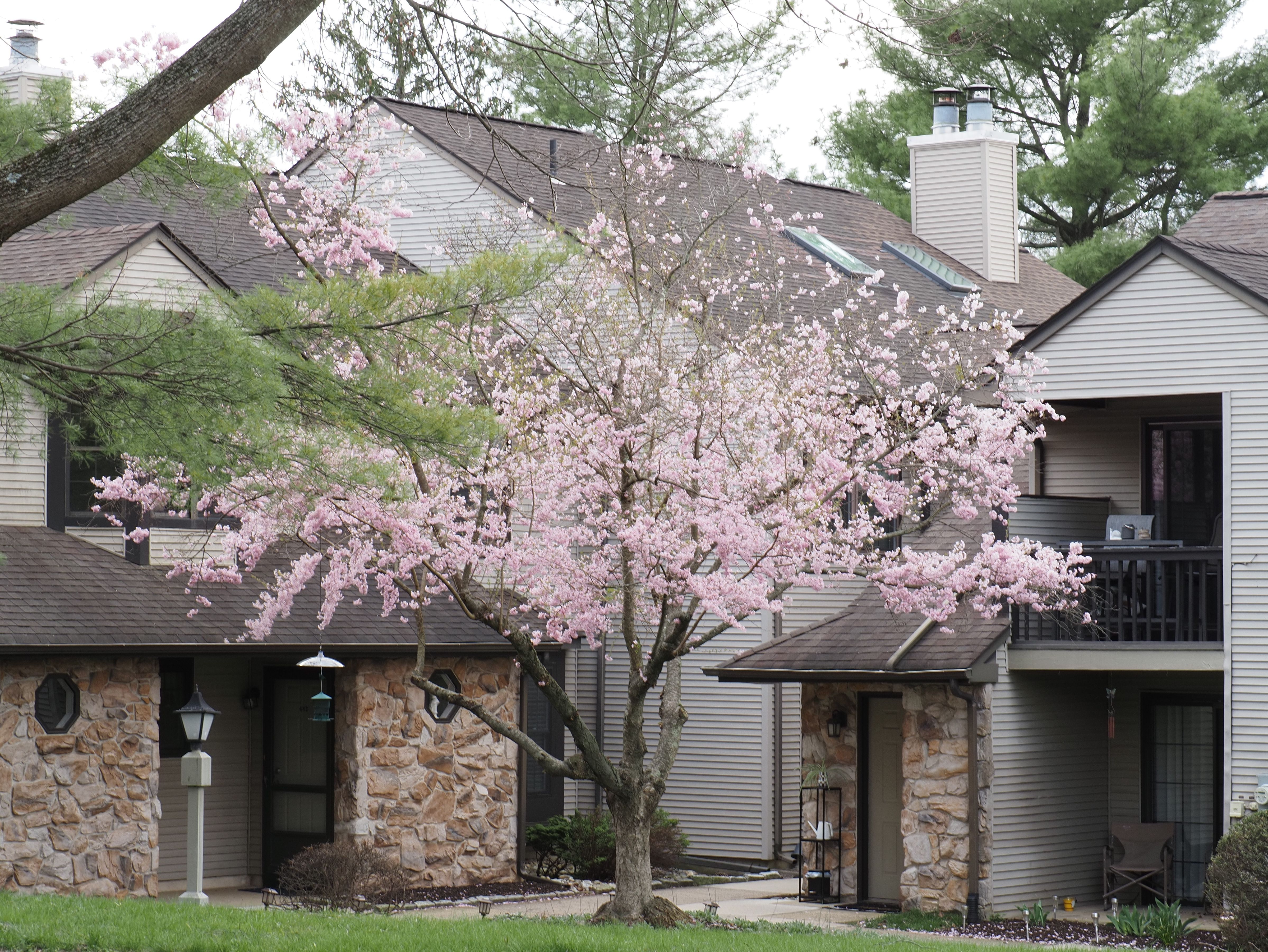 The 2026 Spring Housing Market Is Different — Here’s What Buyers and Sellers Need to Know header image.