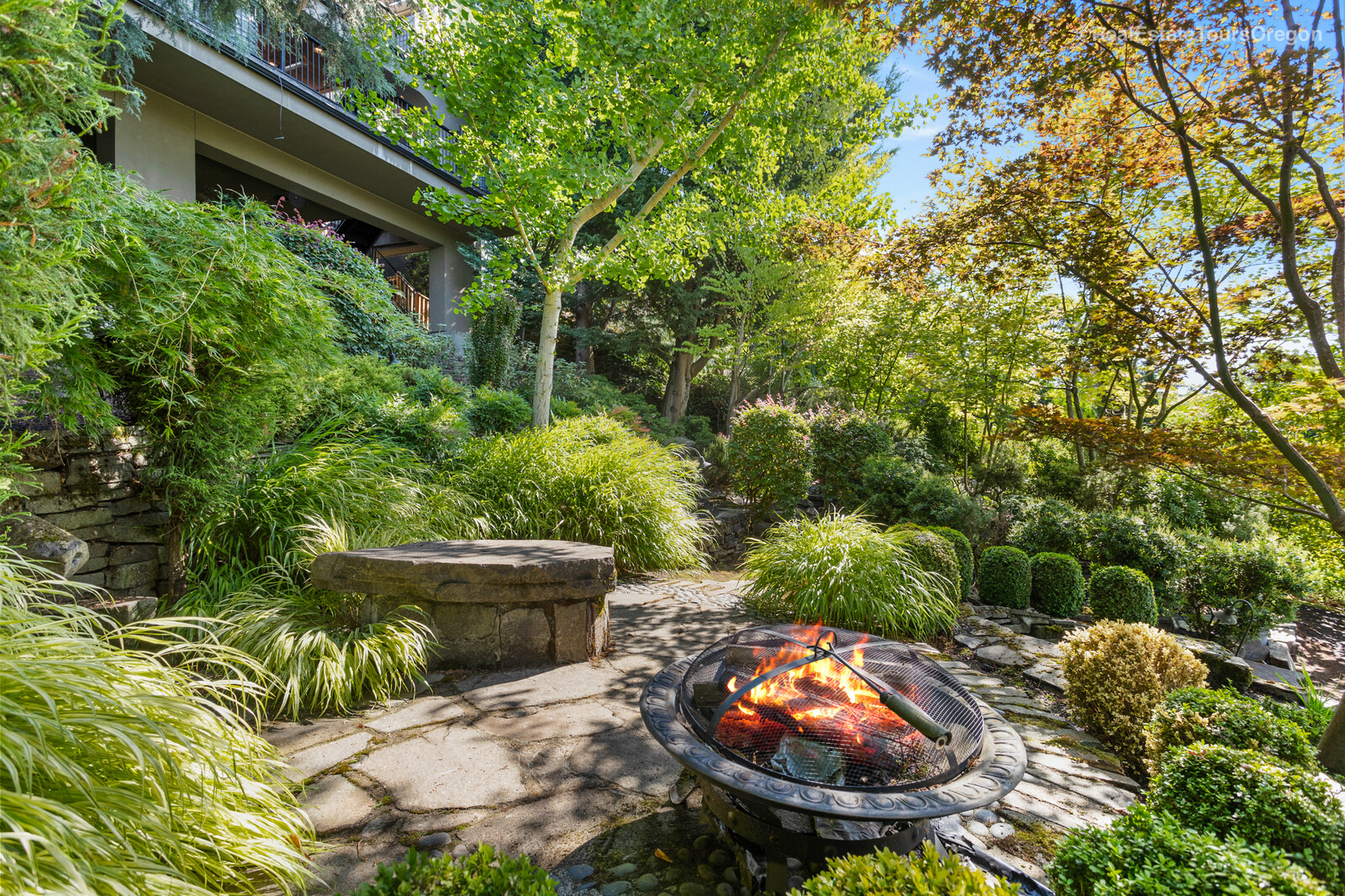 8 LAWN CARE TIPS TO FIX YOUR EVERYDAY LANDSCAPING PROBLEMS header image.