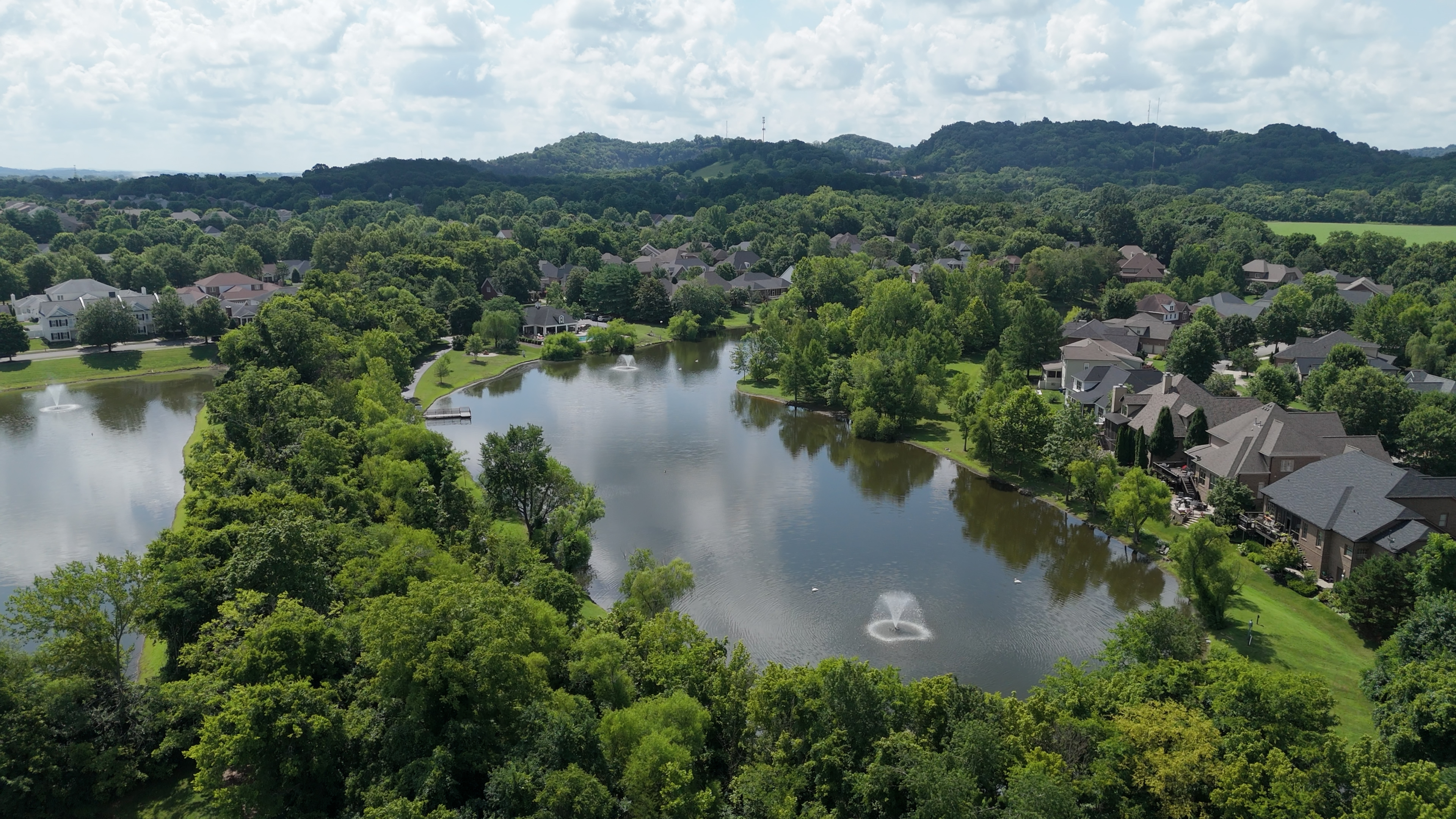 Willow Springs in Franklin, TN: Lakeside Living in the Heart of Historic Franklin header image.