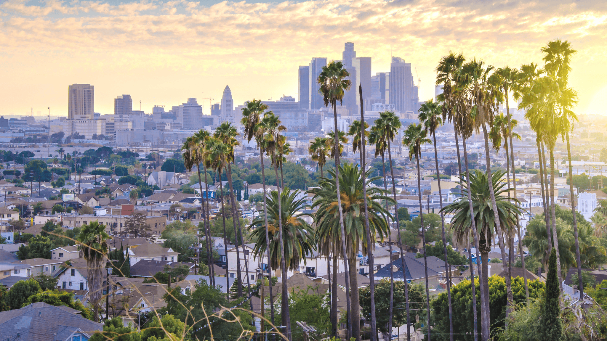 Aerial view of Los Angeles with palm trees, residential neighborhoods, and the downtown LA skyline at sunrise.