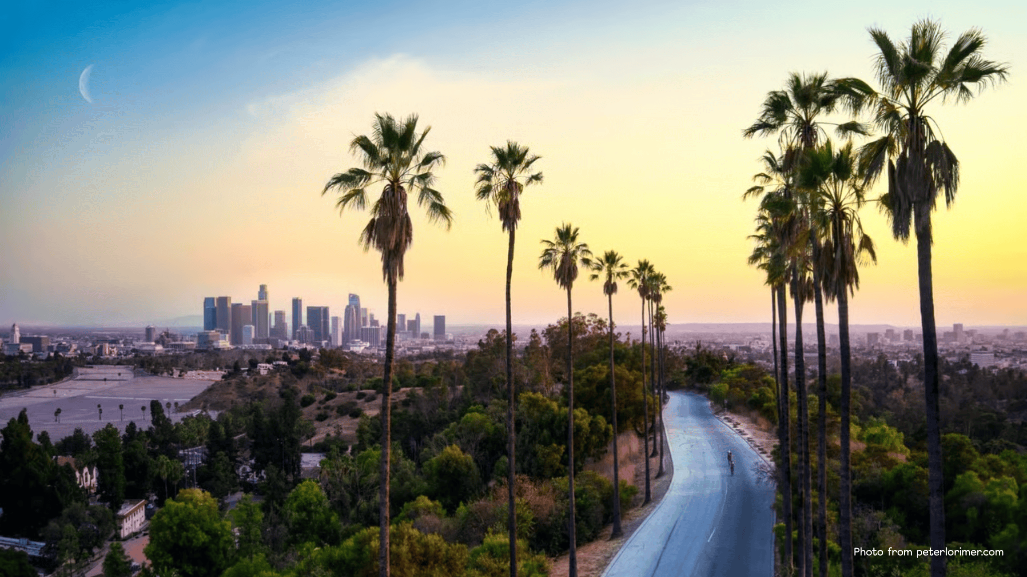 Scenic view of Los Angeles at sunset with tall palm trees lining a winding road and the downtown LA skyline in the background.