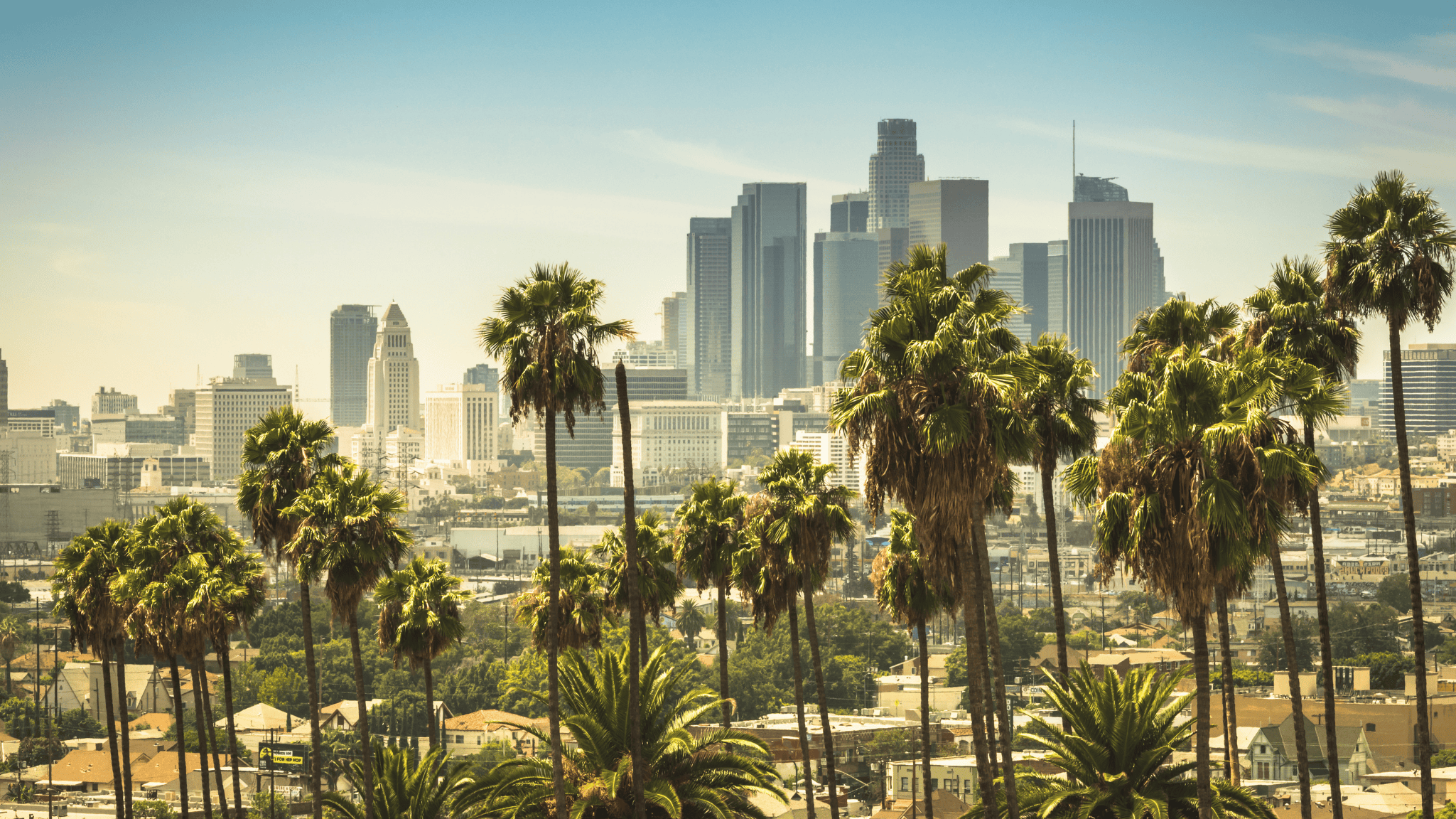 Los Angeles skyline with palm trees in the foreground on a sunny day, showcasing the iconic view of downtown LA — ideal for homebuyers, sellers, and anyone searching for top realtors in Los Angeles.