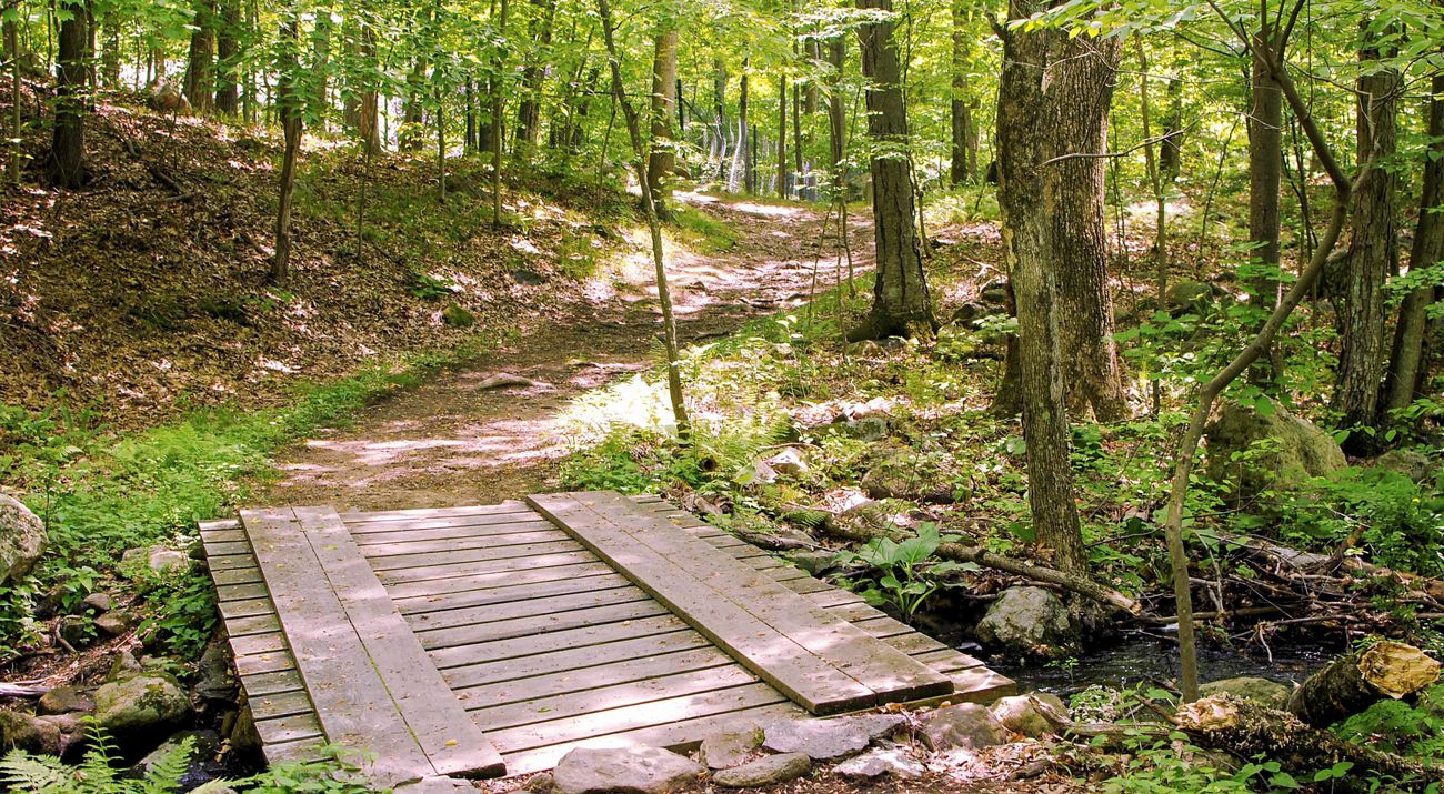 Wooden boardwalk trail winding through a wooded preserve in Fairfield County, CT