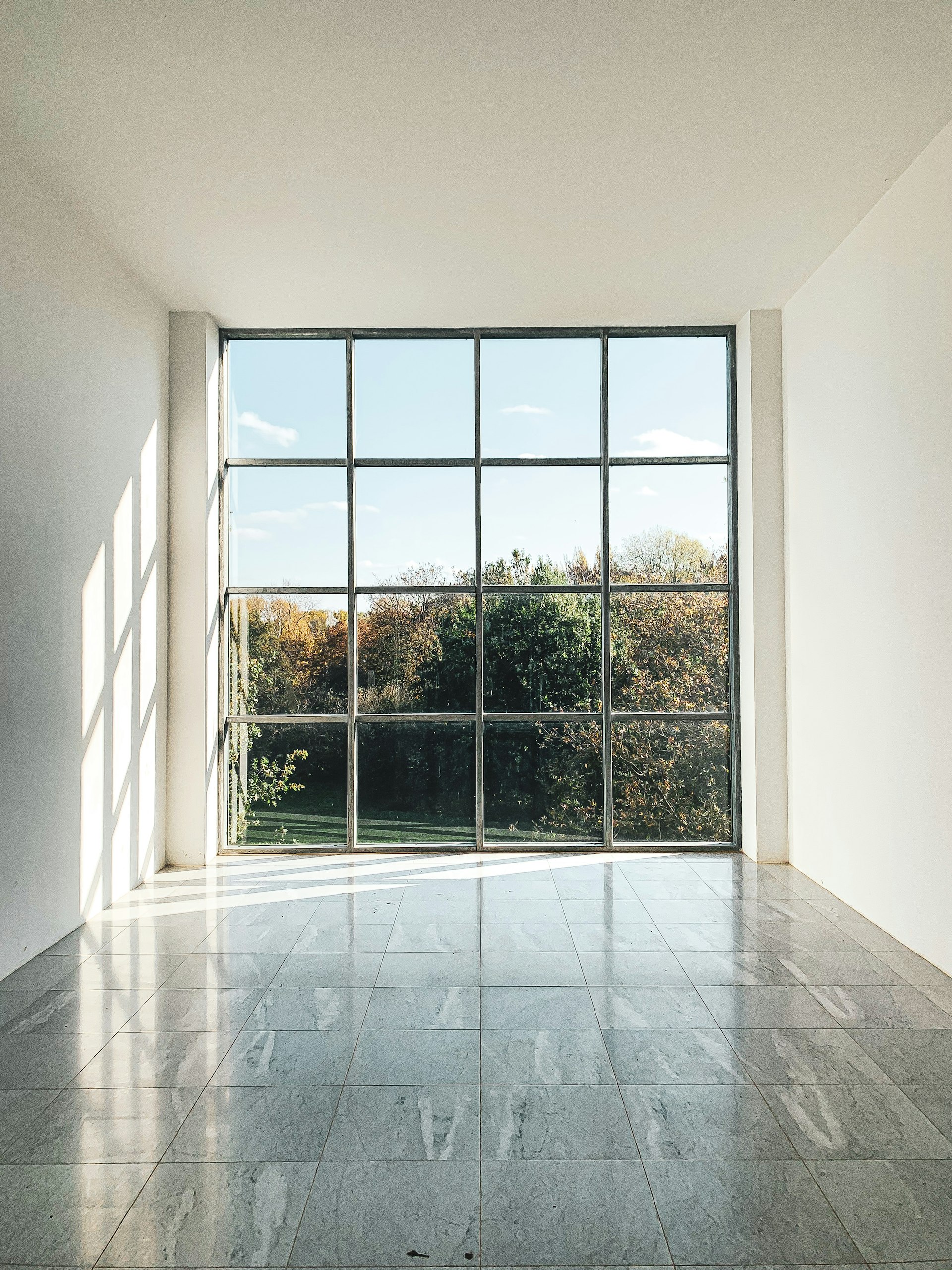 Sunlight through a large paned window overlooking a green garden