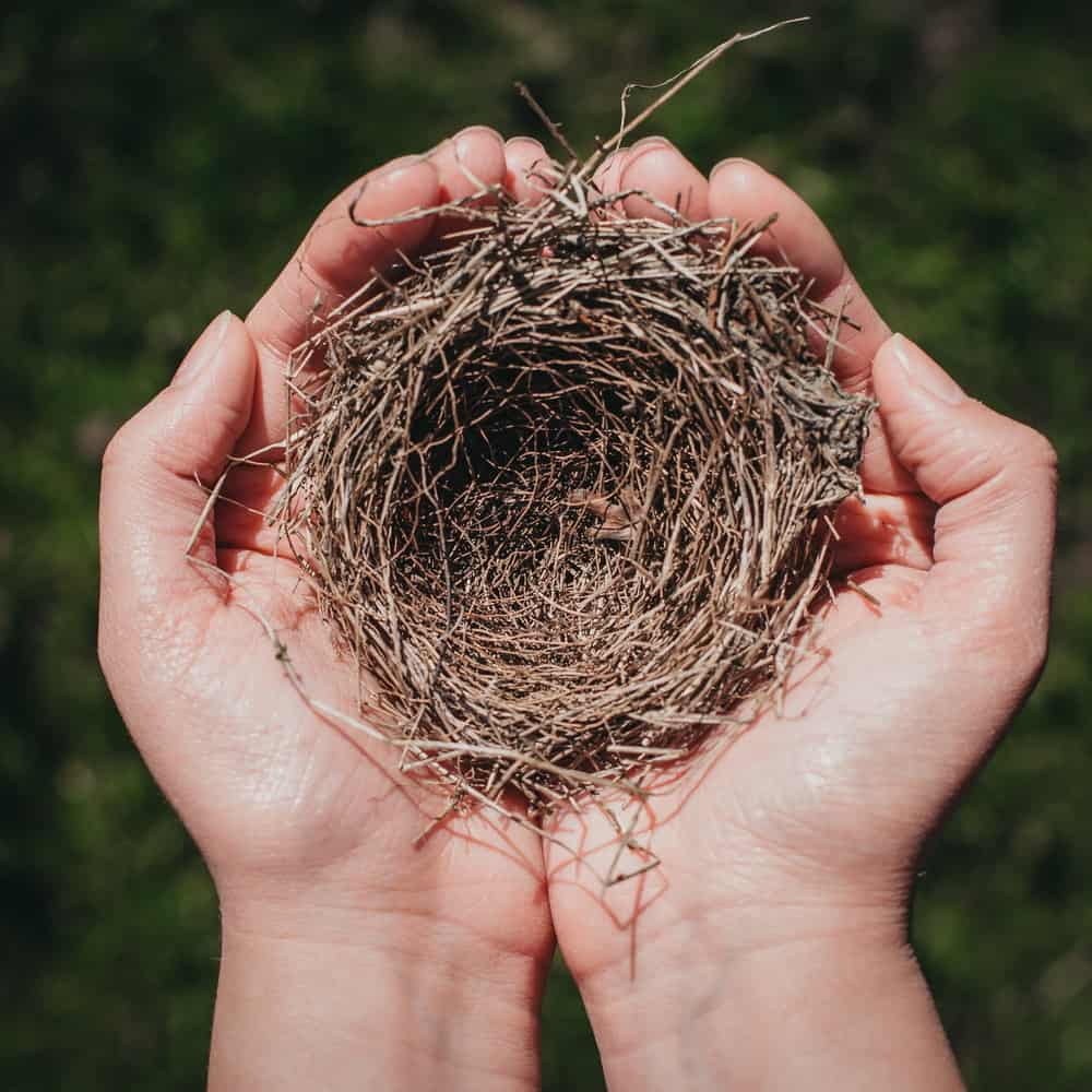 Two hands holding an empty bird nest, symbolizing the empty nester transition