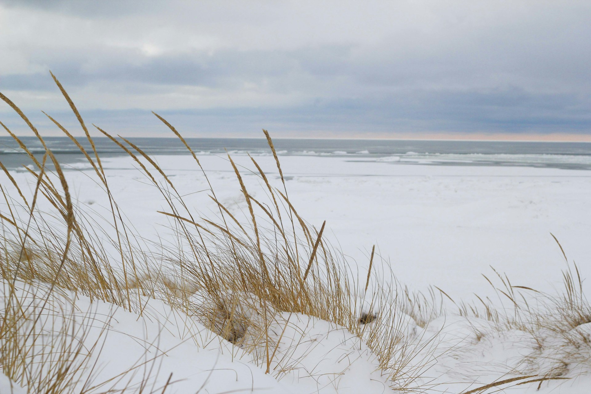 Snow-covered dune grass along a quiet Westport, CT beach in winter