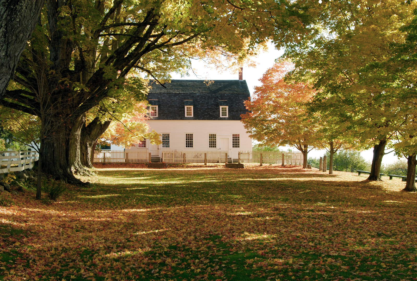 Could a Real Estate Sales Shift Be Ahead This Fall? header image.