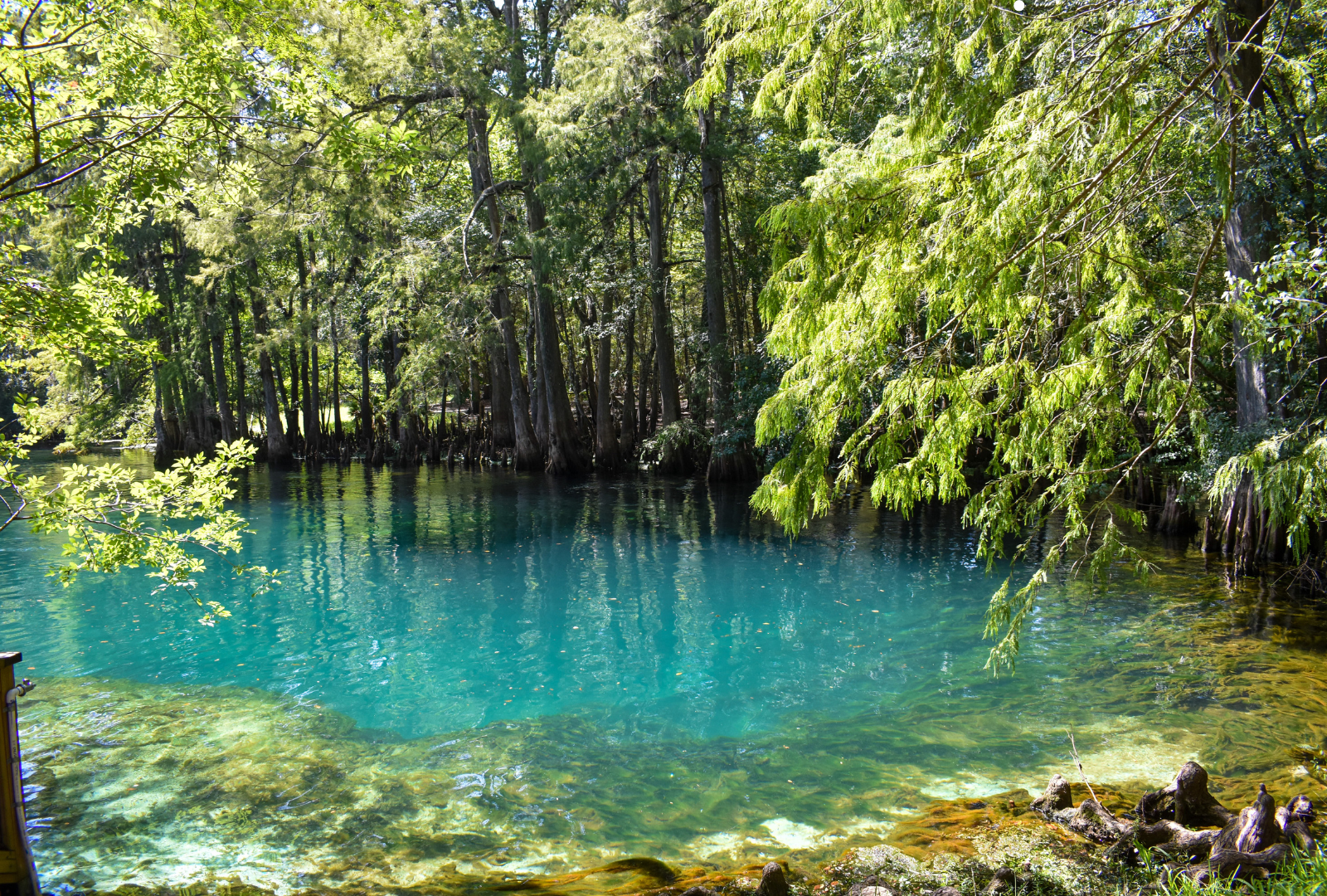 Beat the Heat: The Best Ways to Cool Off in and Around Gainesville This Summer header image.