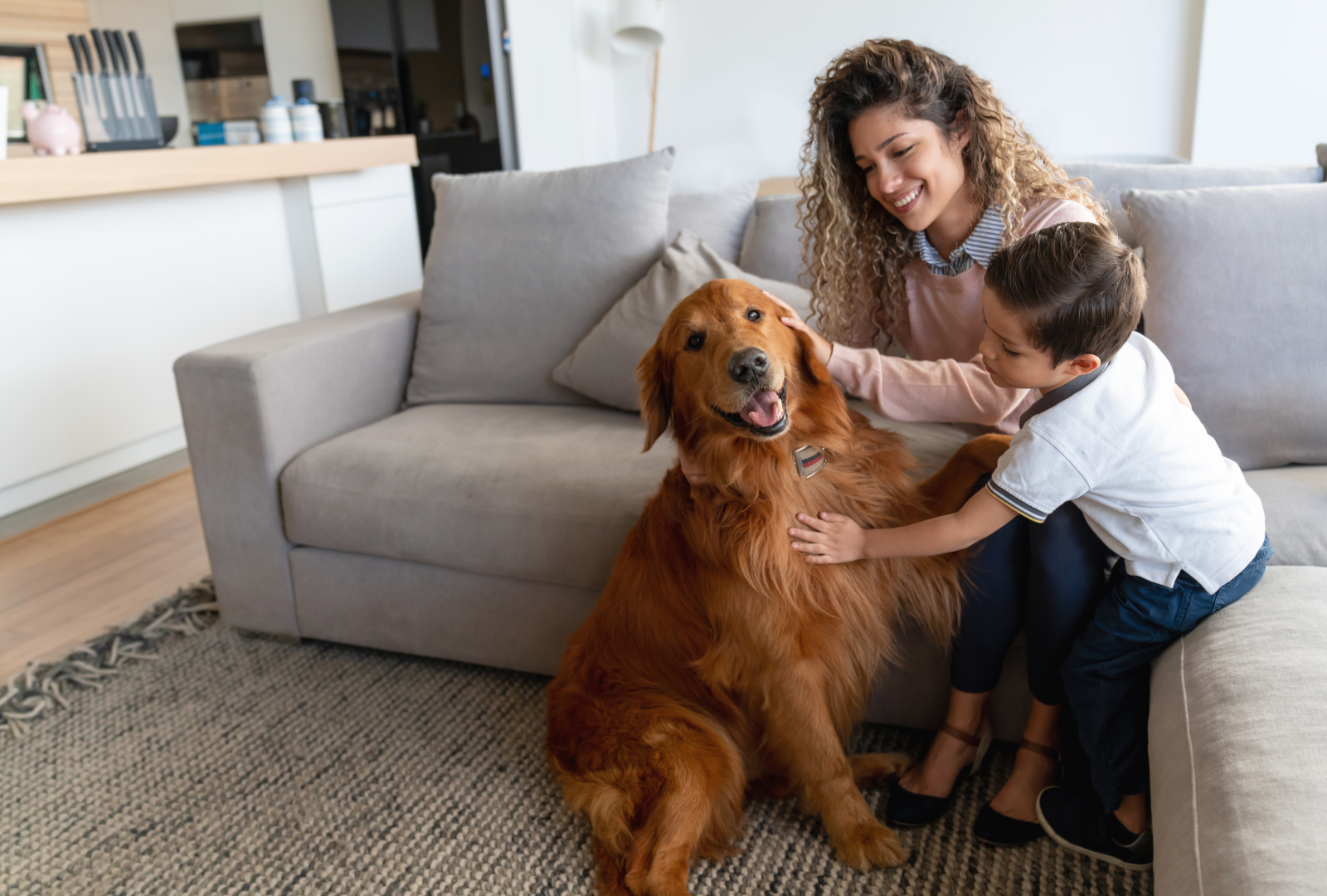 The Impact of Pets on Home Sales header image.