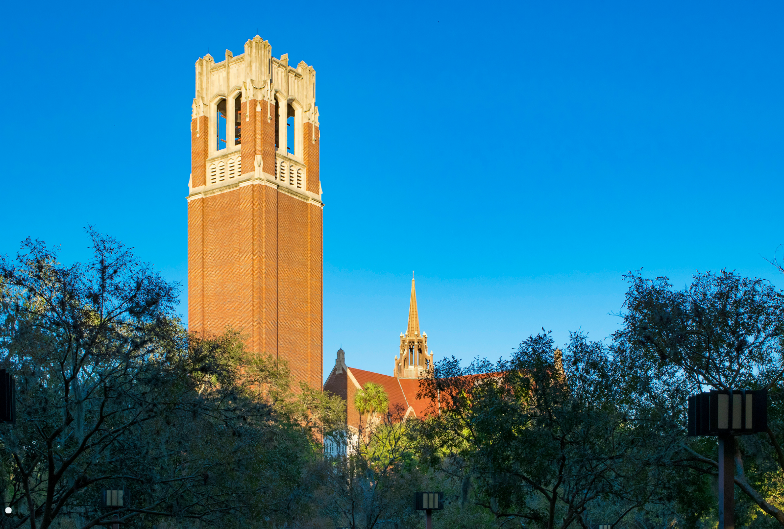 Beyond the Swamp: How UF Football Season and the University Shape the Gainesville Real Estate Market header image.