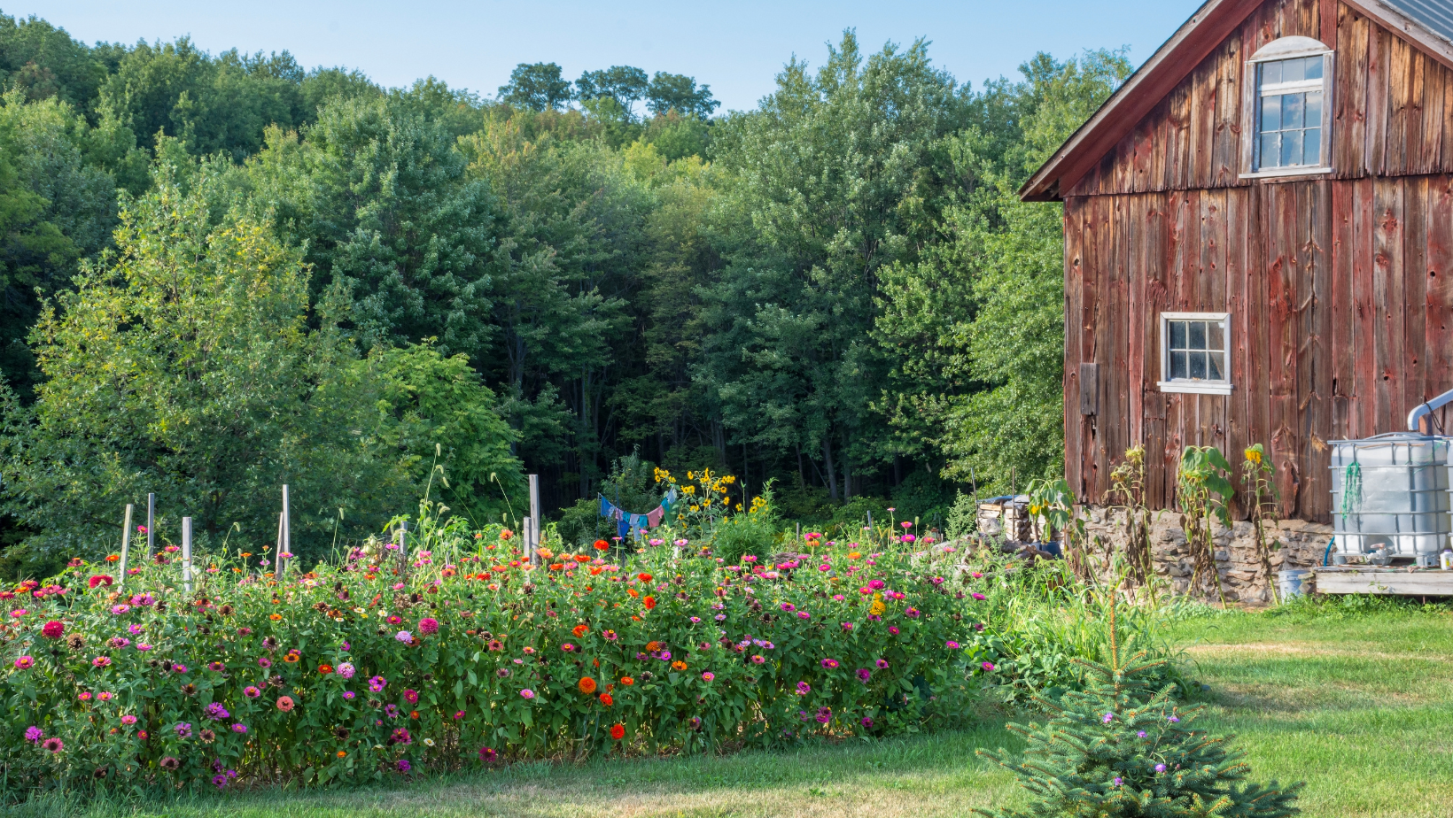 What is Homesteading? header image.