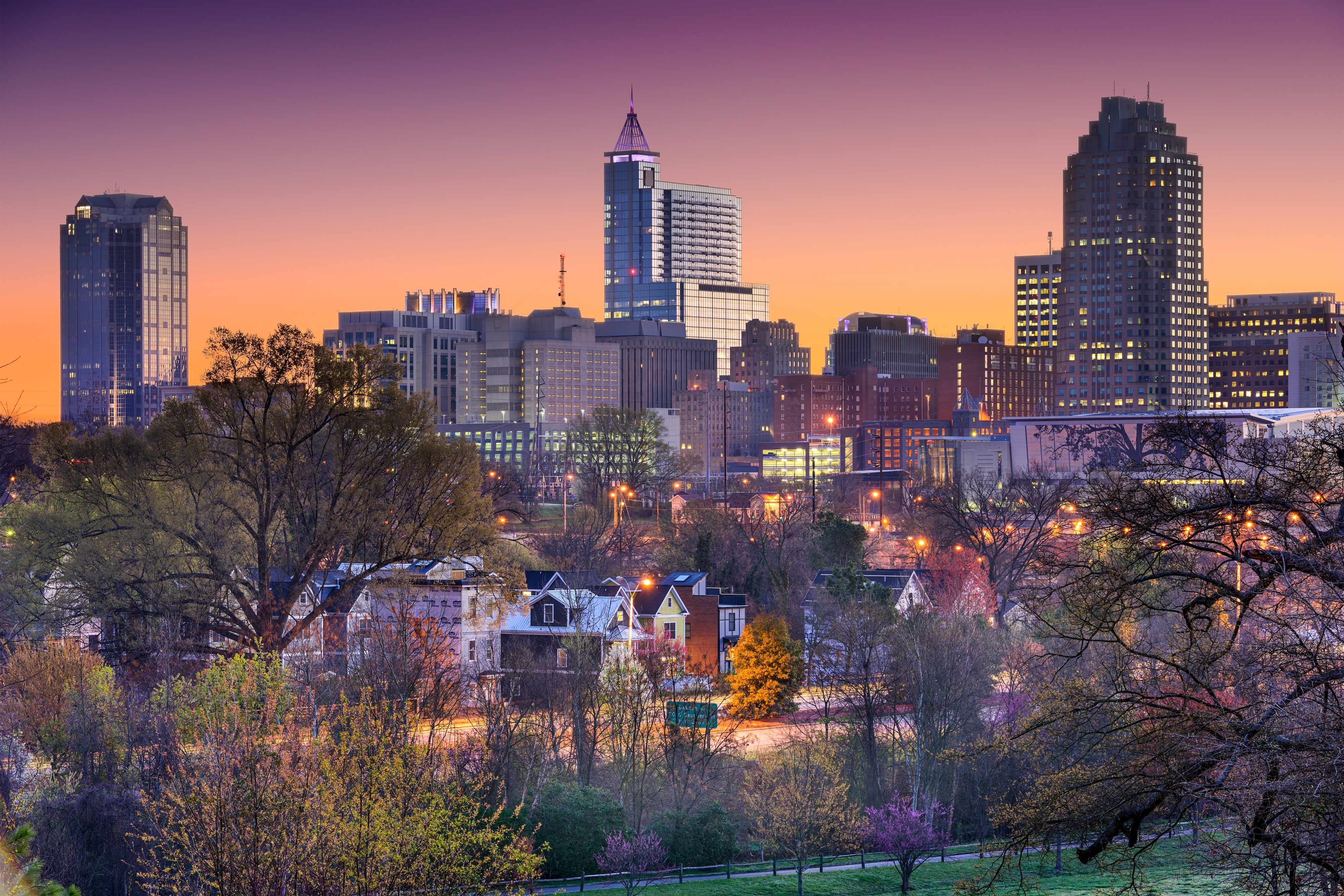 Raleigh Real Estate Market Update 2026 header image.