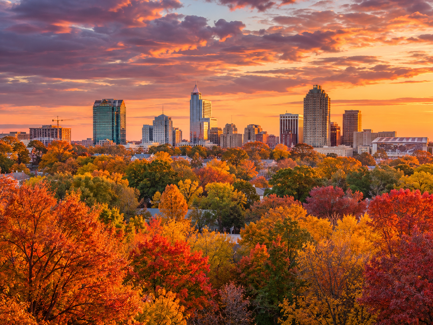 The North Carolina Real Estate Market: Just Like the Weather! Happy Fall! header image.