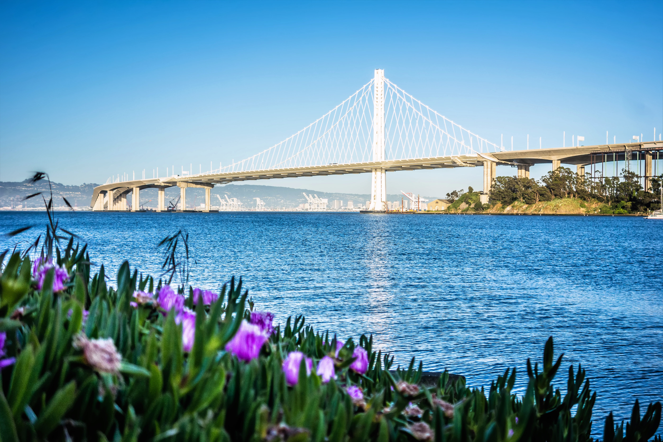 Living in the East Bay Area, CA: Your Ultimate Relocation and Neighborhood Guide header image.