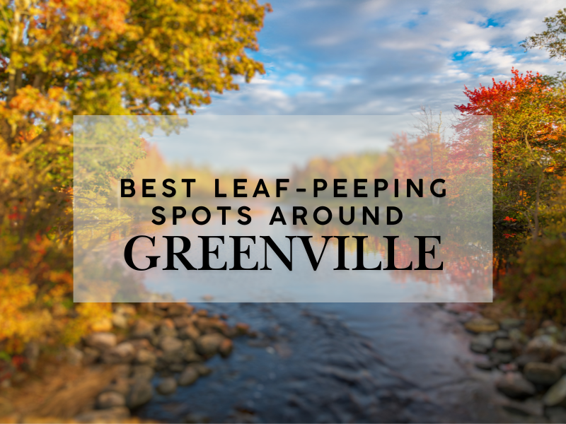 Best Leaf-Peeping Spots Around Greenville