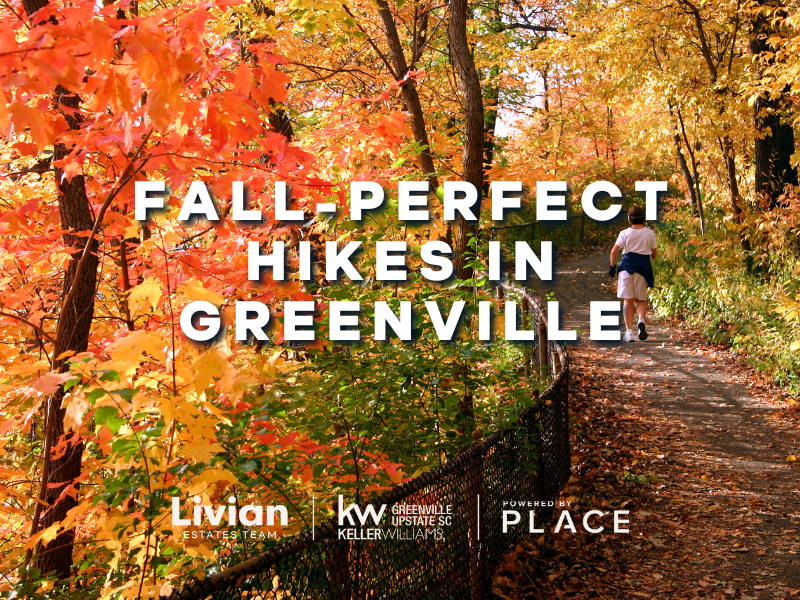 Fall-Perfect Hikes in Greenville
