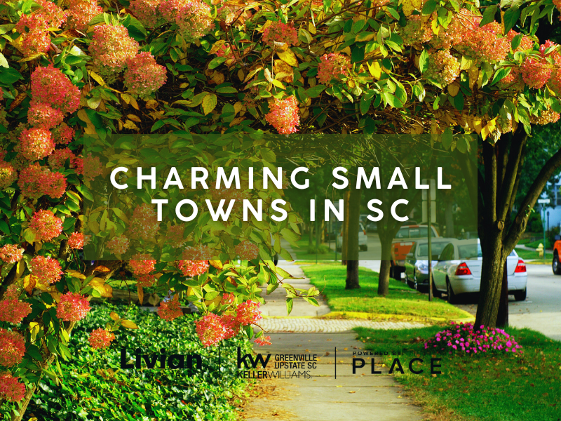Charming Small Towns in SC