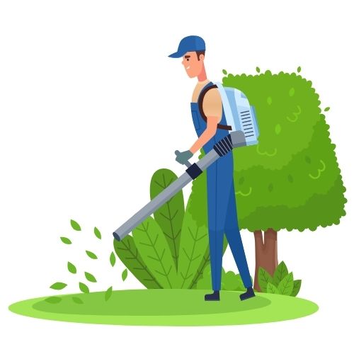 Clean Up the Yard