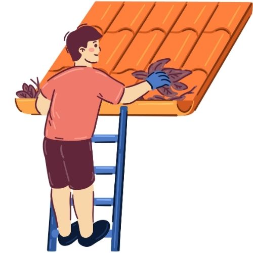 Check the Roof and Gutters