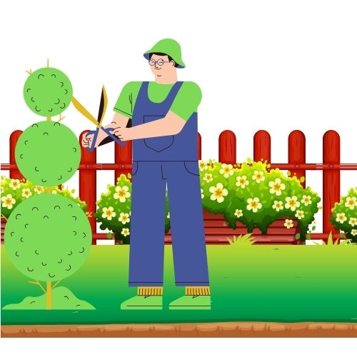 Simple Landscaping Wins