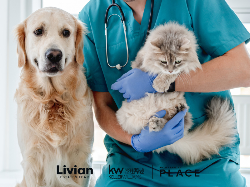 pet clinics in Greenville SC