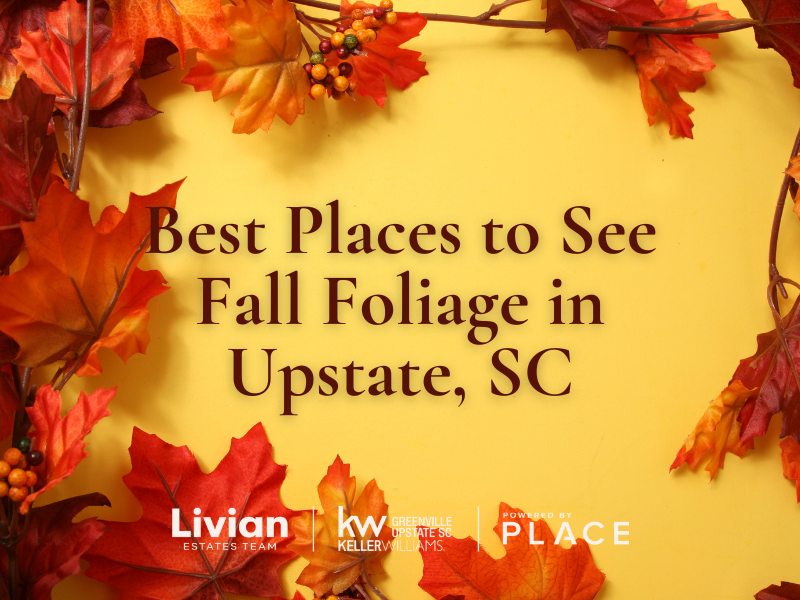 Best Places to See Fall Foliage in Upstate, SC