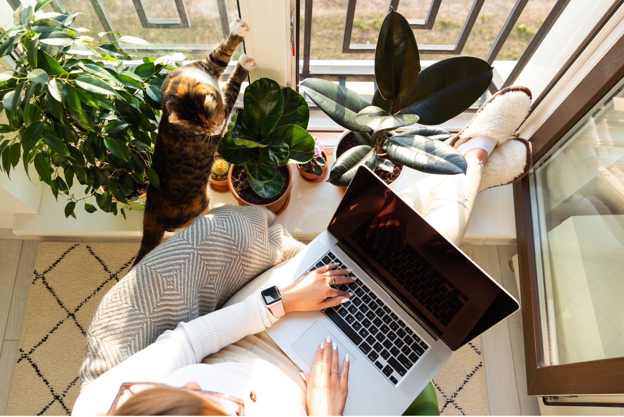 What Mortgage Delinquencies Really Tell Us About Foreclosures header image.