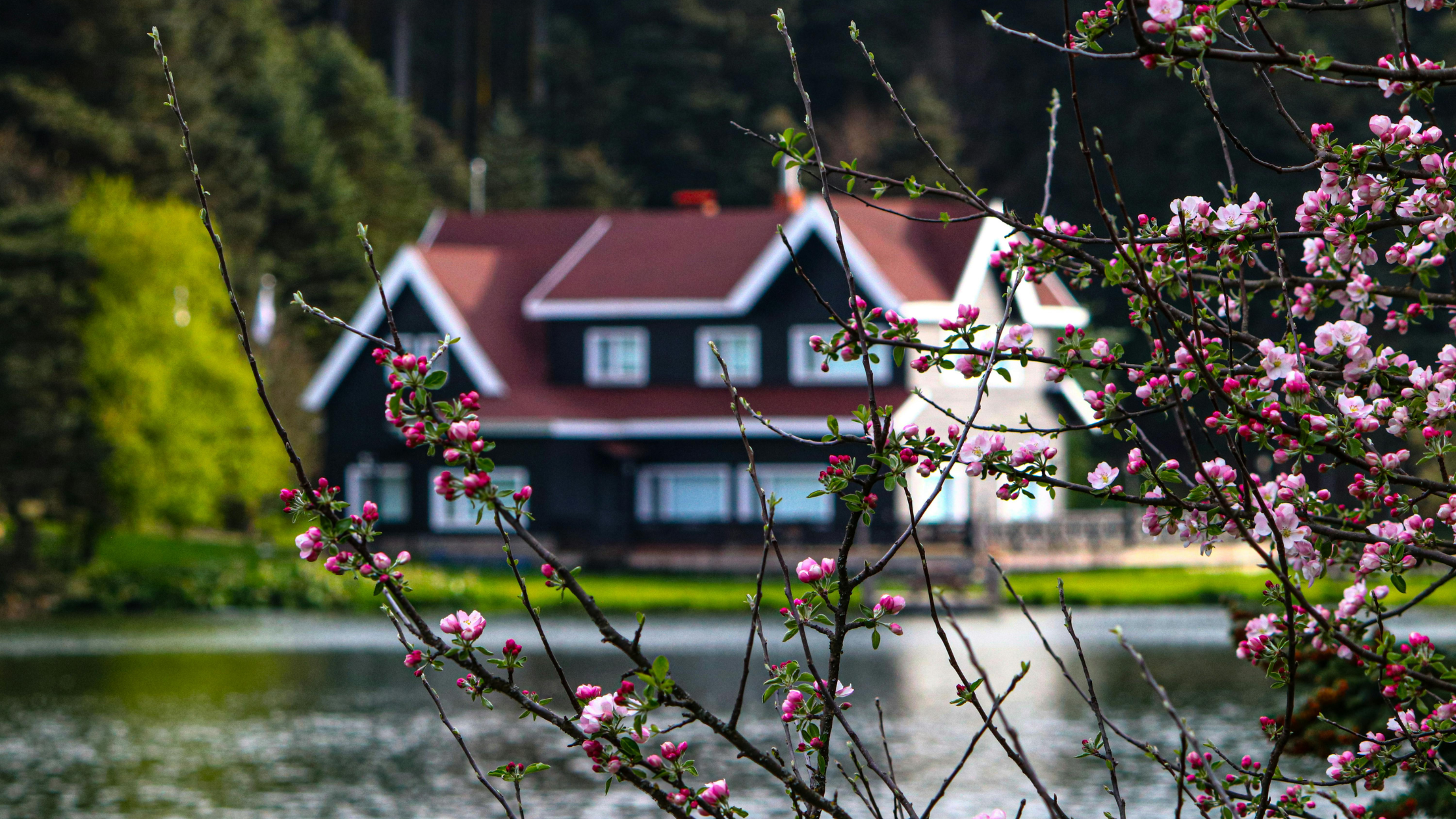 The Remodel You’ve Been Thinking About Might Be More Within Reach Than You Realize header image.