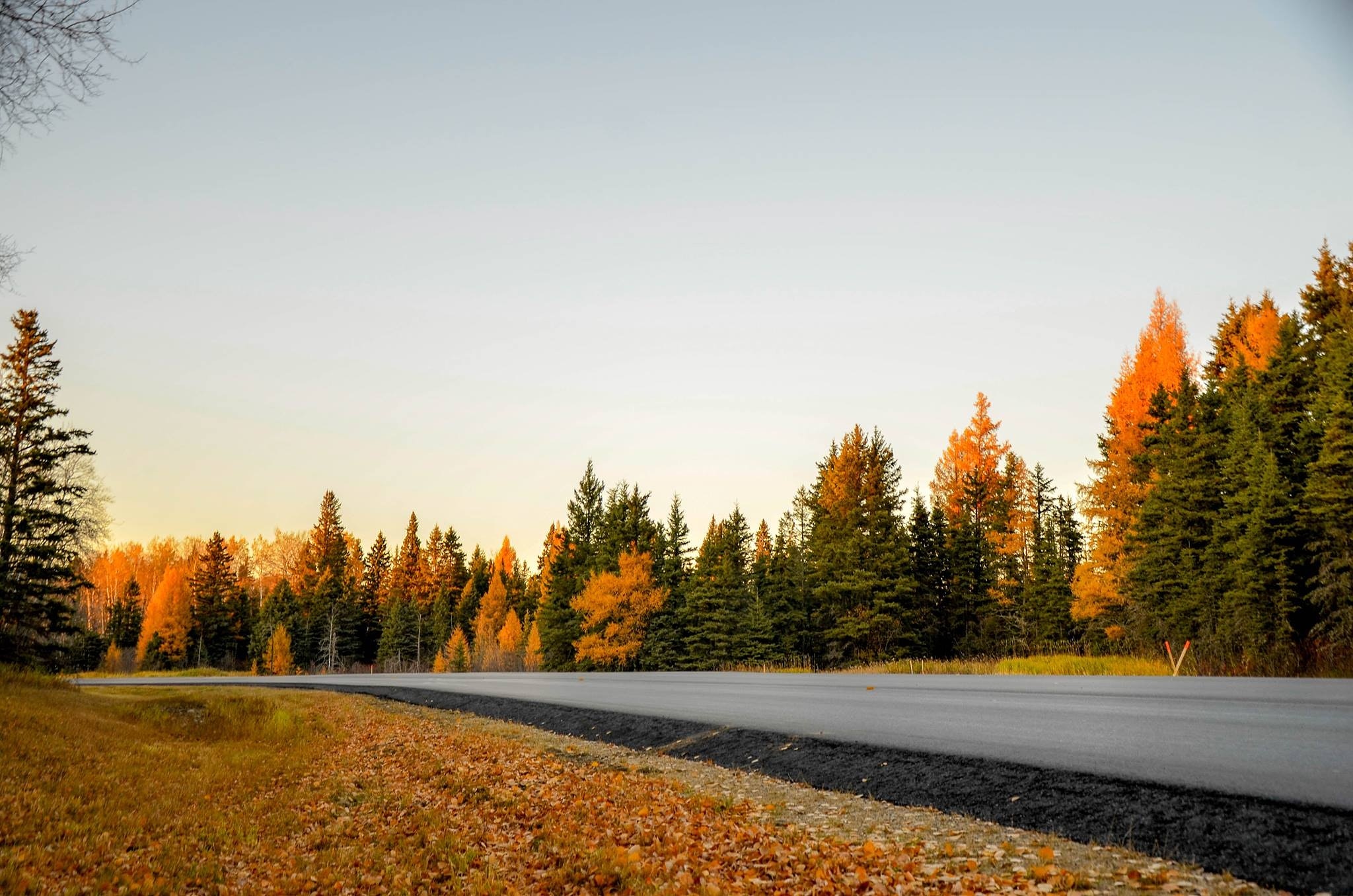 Why You Should Buy or Sell Your Home In The Fall header image.