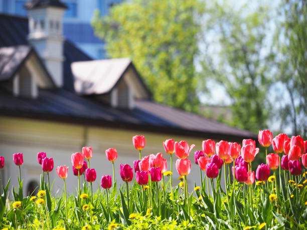 Insights from Experts: Analysis of the Spring Housing Market header image.