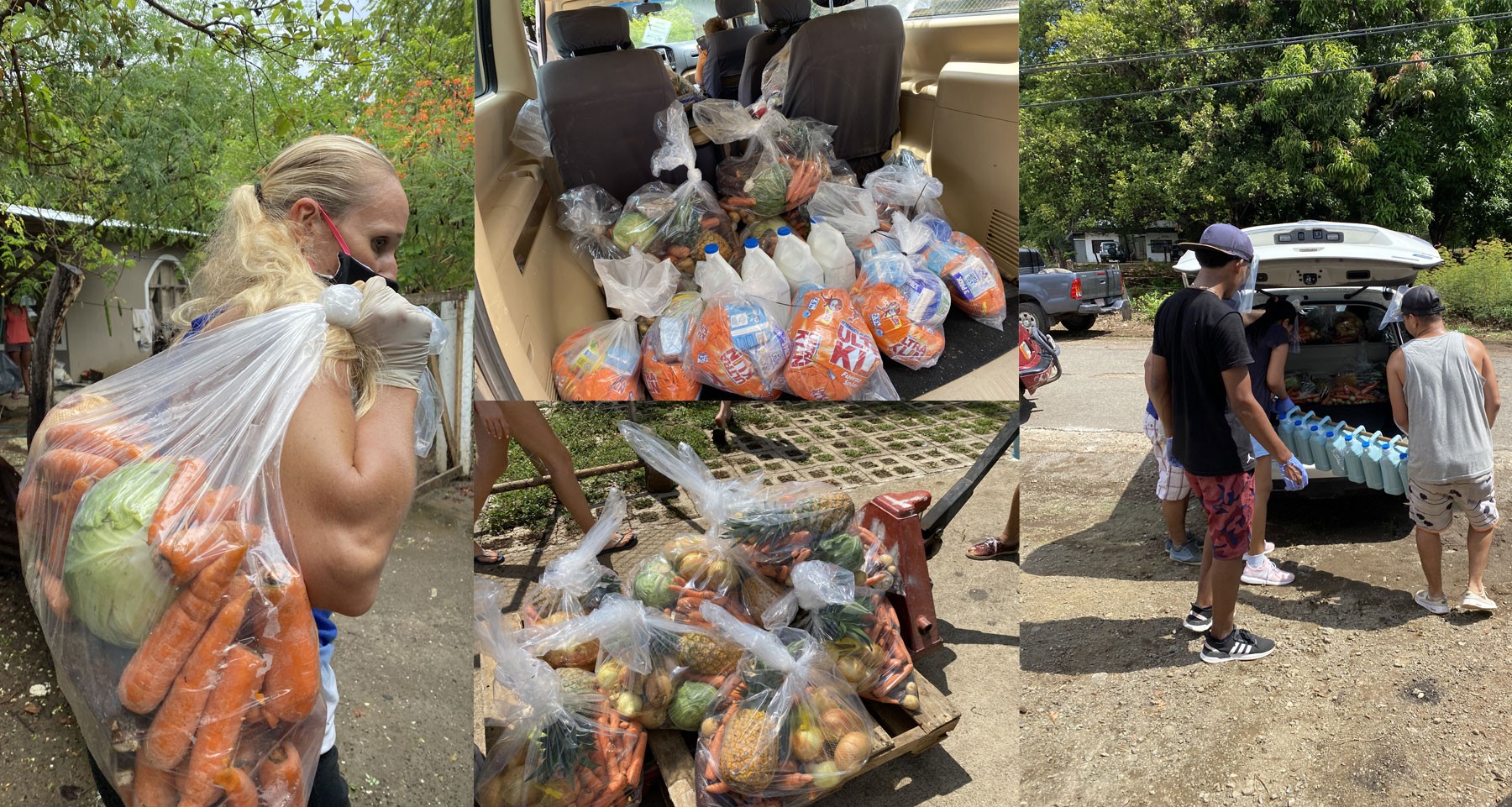 Feeding Program header image.