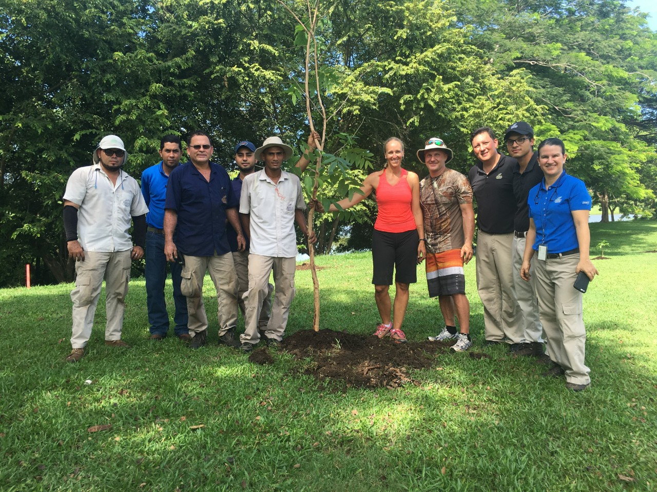 Tree Planting header image.