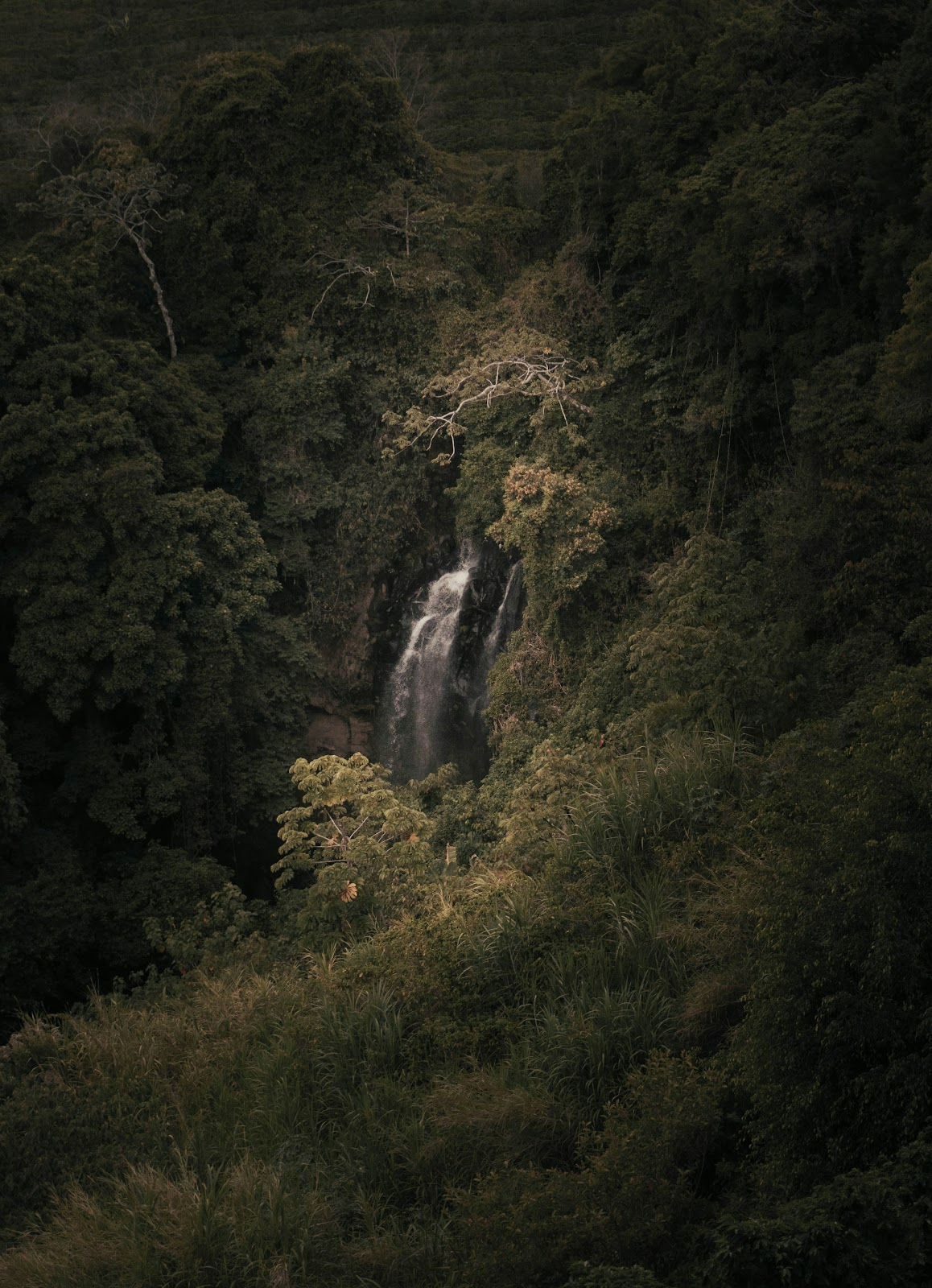 Choosing the right location in Costa Rica