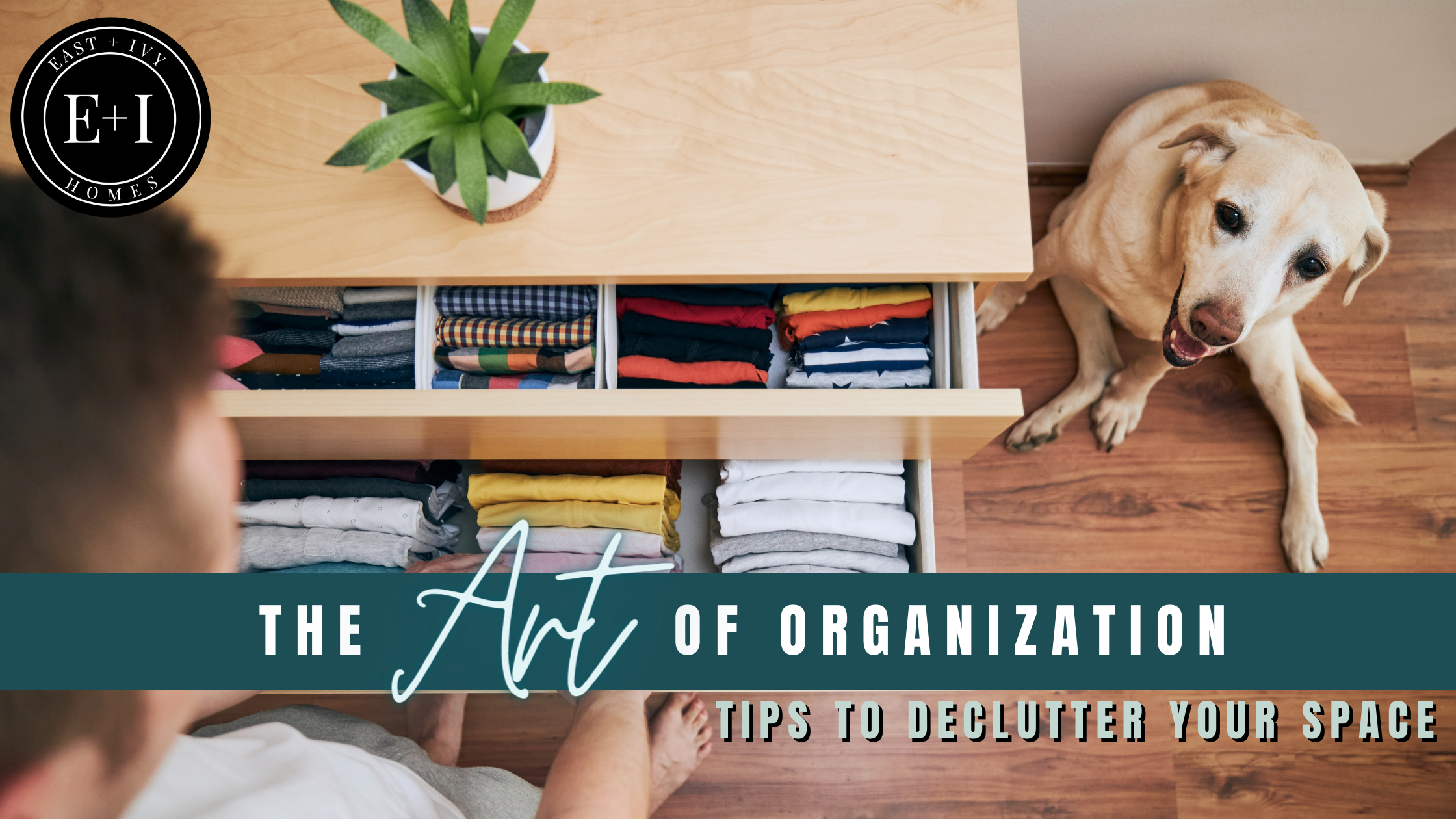 The Art of Organization: Tips to Declutter Your Space header image.