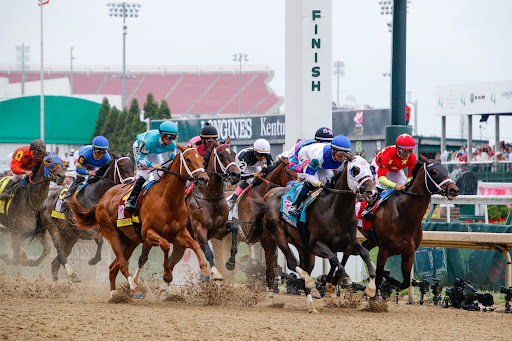 Our Top Louisville Events in November header image.