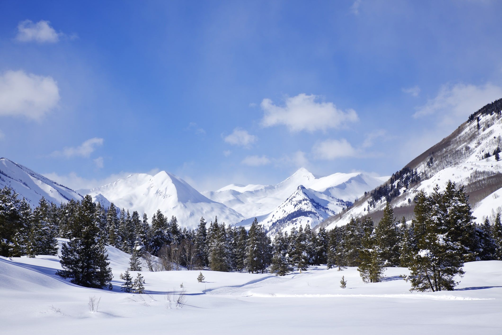 4th Quarter 2023 Market Report ASPEN and SNOWMASS header image.
