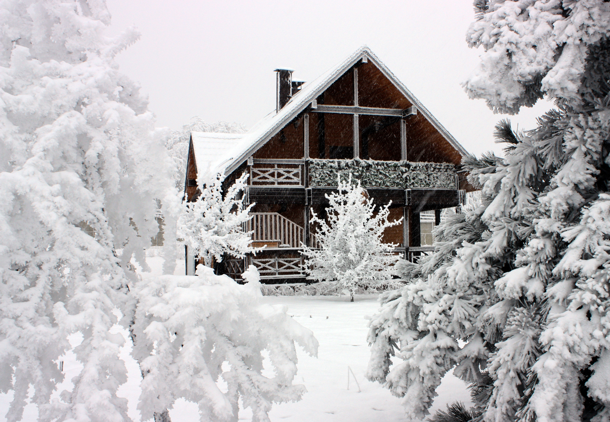 3 Best Practices for Selling Your House This Year header image.