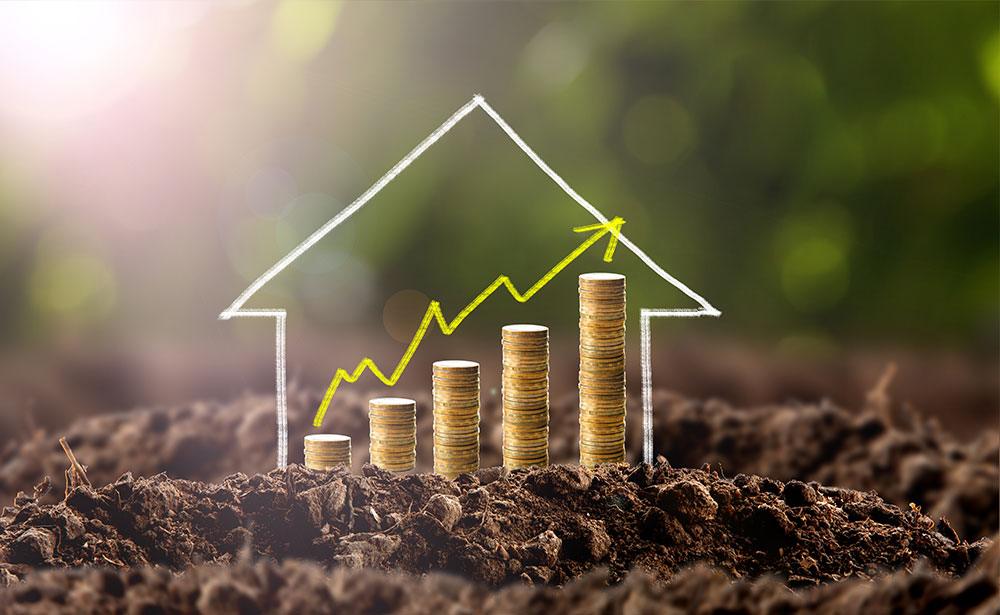 How to Tell if a House Will Appreciate in Value header image.