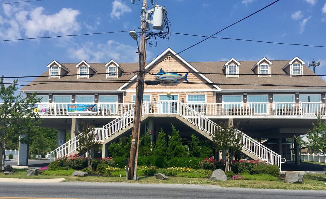 Ocean City Marlin Club
