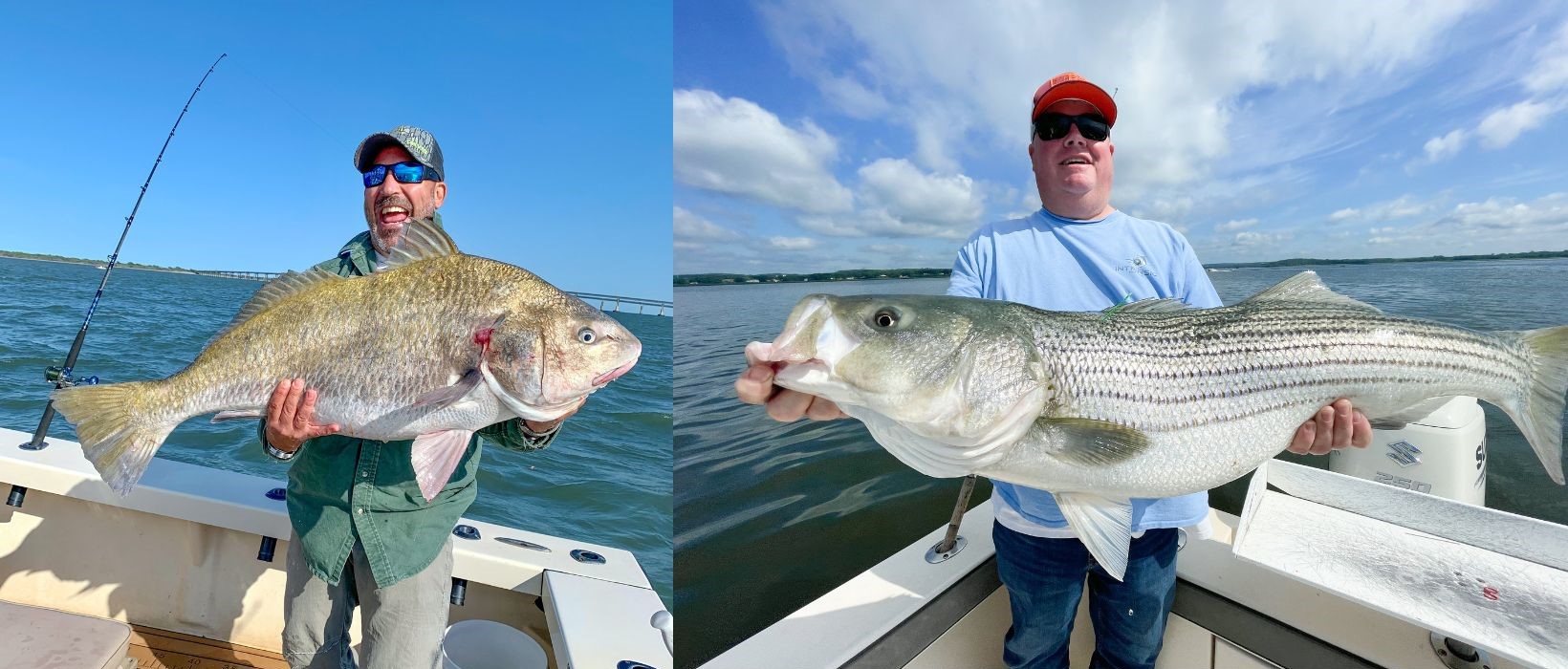 Seasonal Fishing in Delmarva, the Most Common Species of Fish in our Area header image.