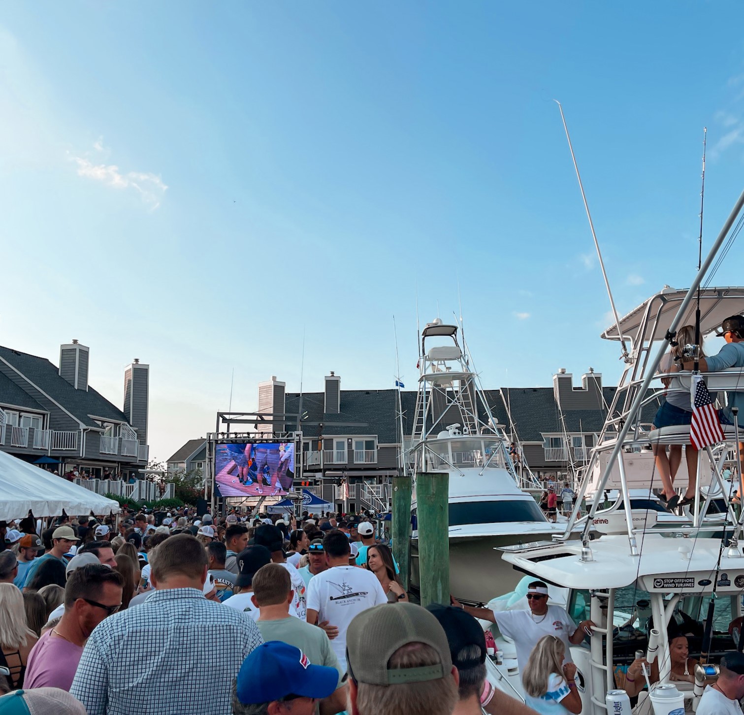 The Economic Impact of Ocean City's History as the World's White Marlin Capital header image.