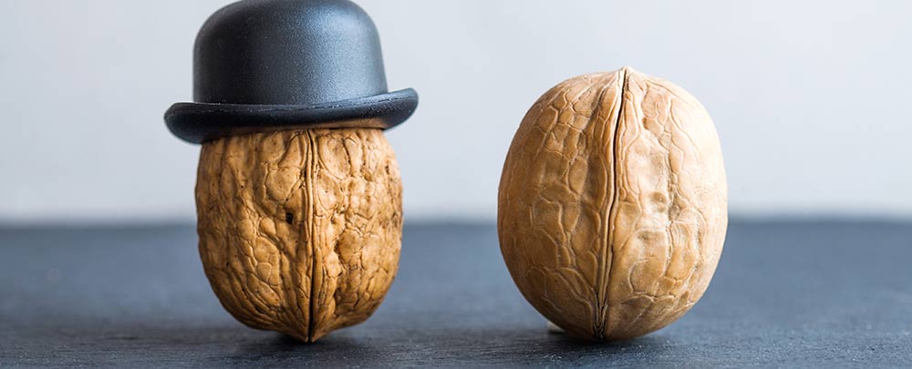 The Home Selling Process in a Nutshell header image.