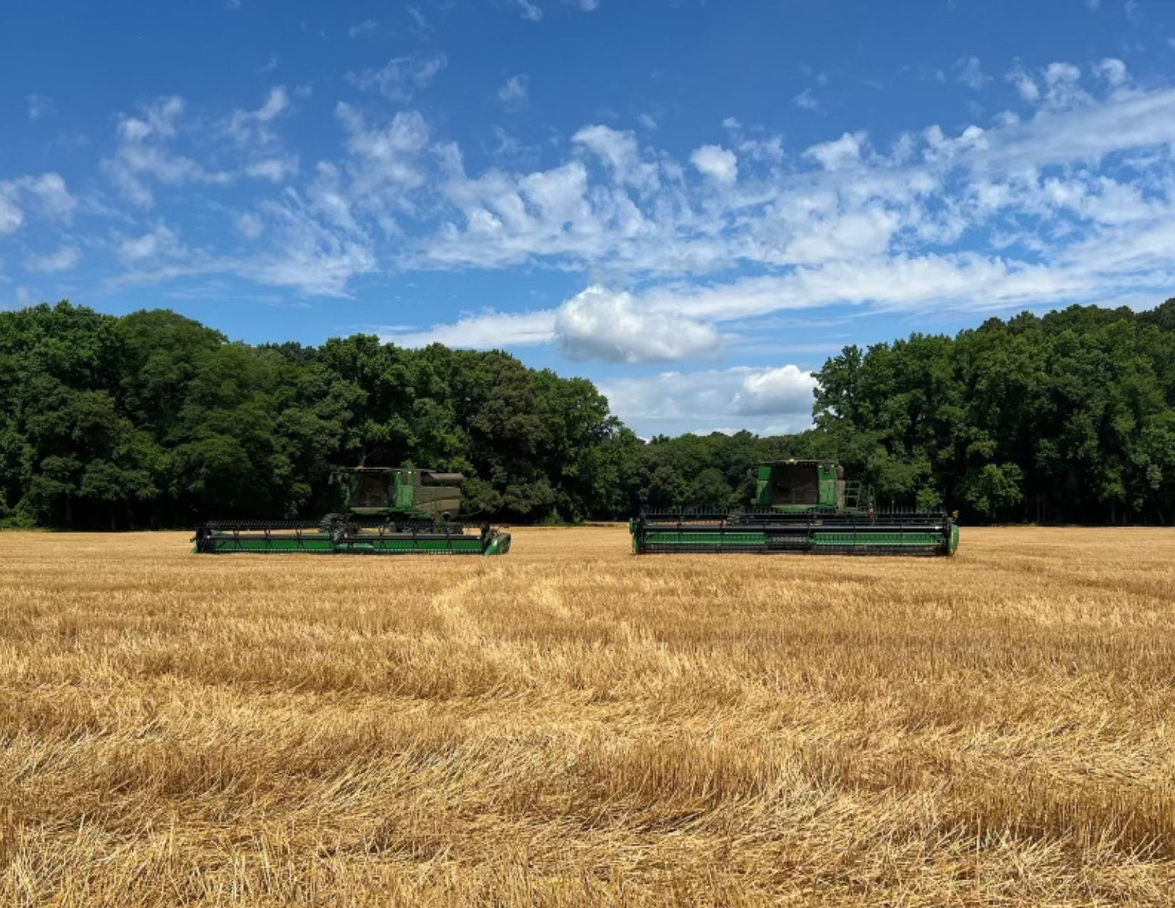 Farming's Crucial Role in Delmarva header image.