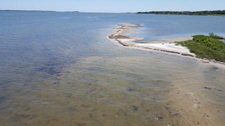 Estuary Maryland