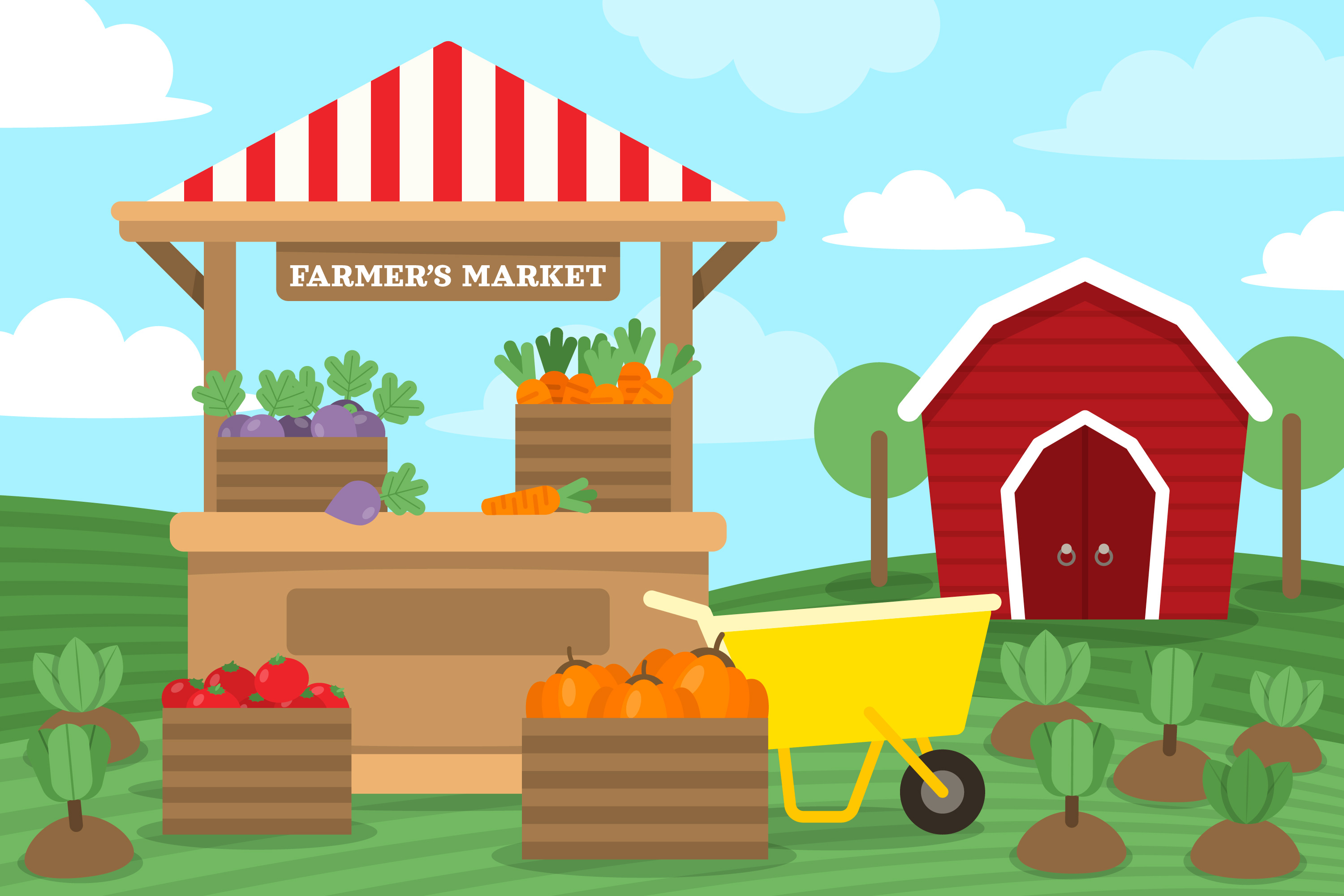 Exploring the Bountiful Local Farms header image.