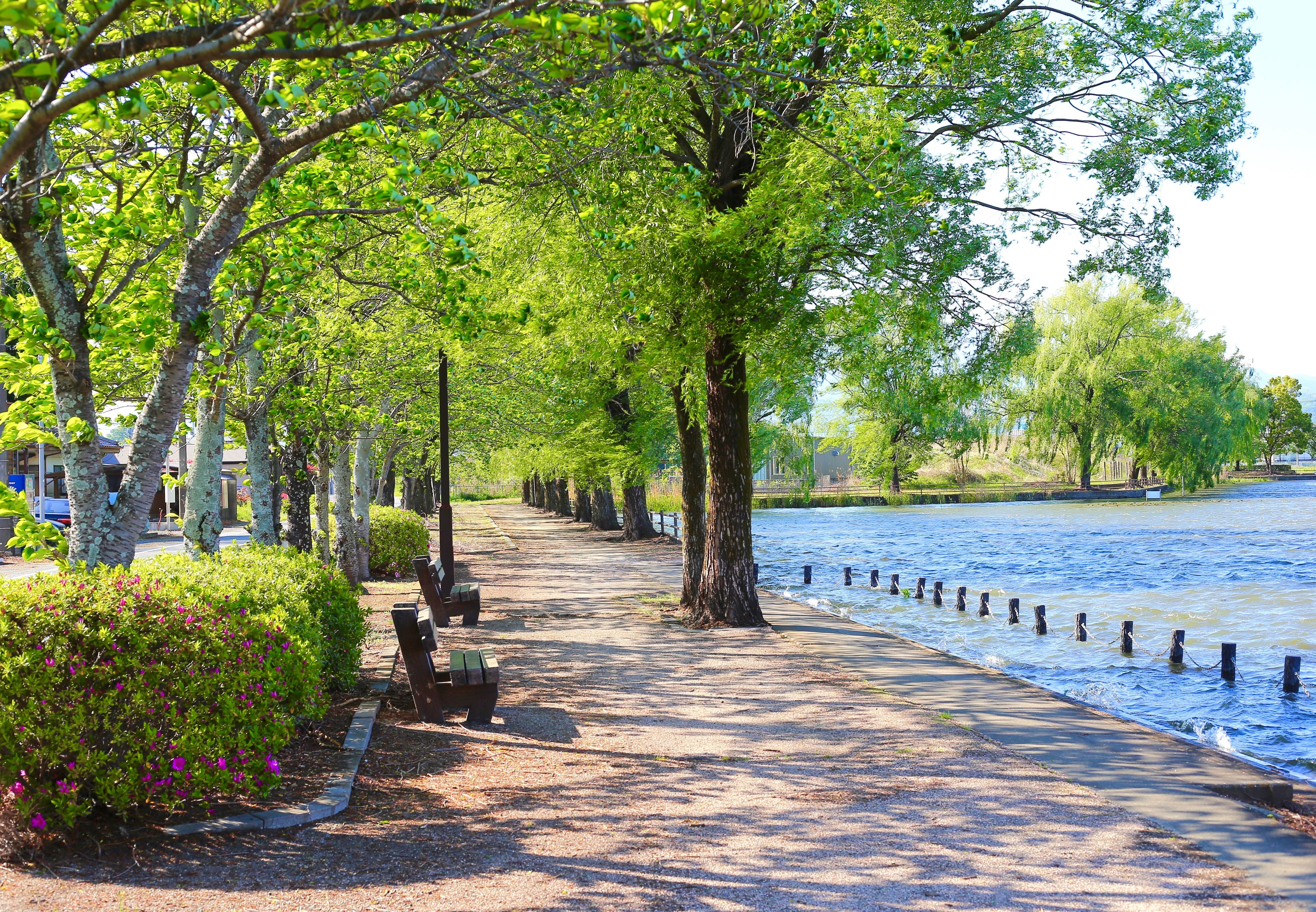 Living in Manalapan NJ: What Buyers Should Know Before Moving header image.