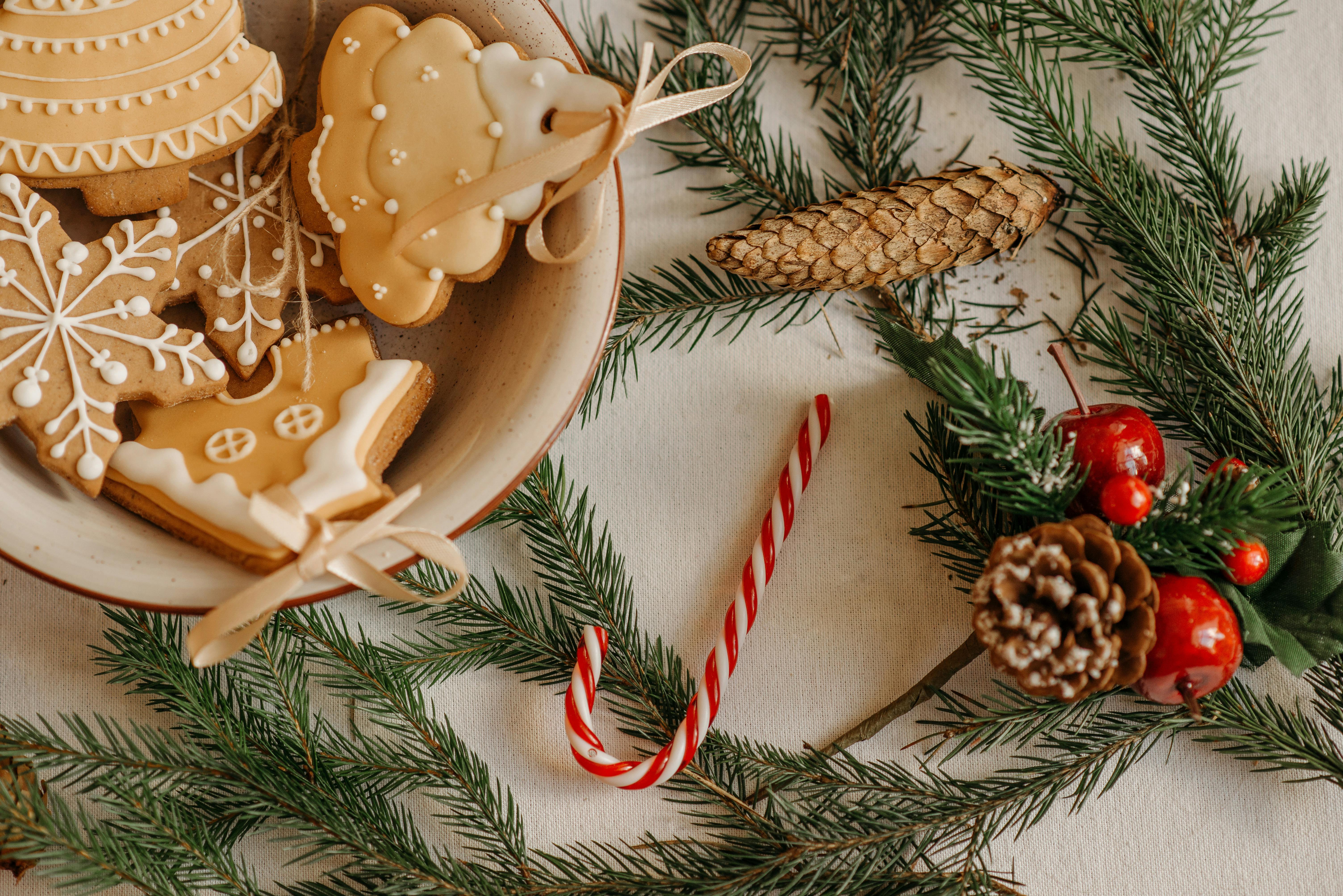 Home for the Holidays: What the Season Reveals About Your Next Move header image.