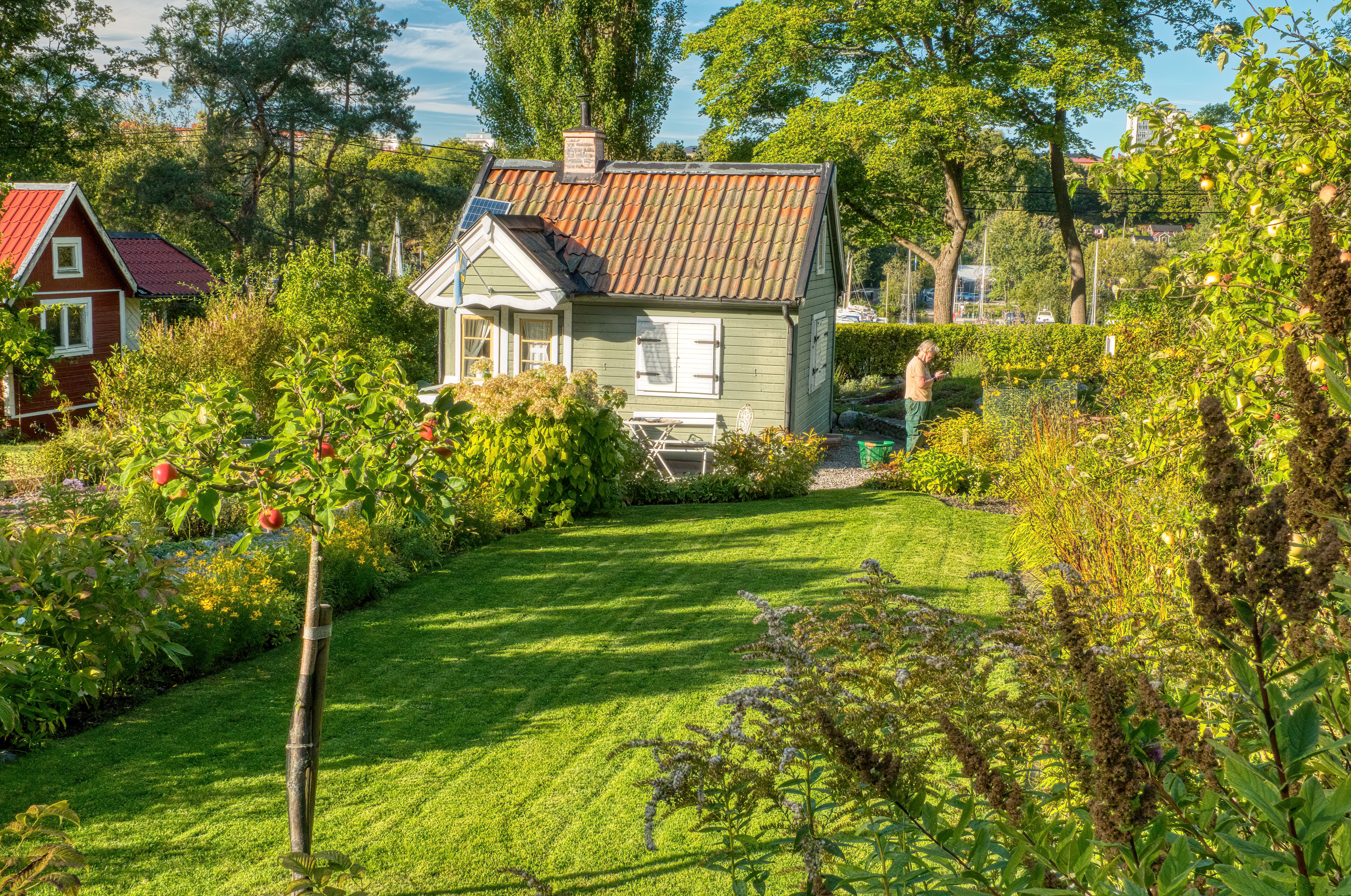 ADUs Explained: How Bay Area Homeowners Are Adding Value and Income header image.